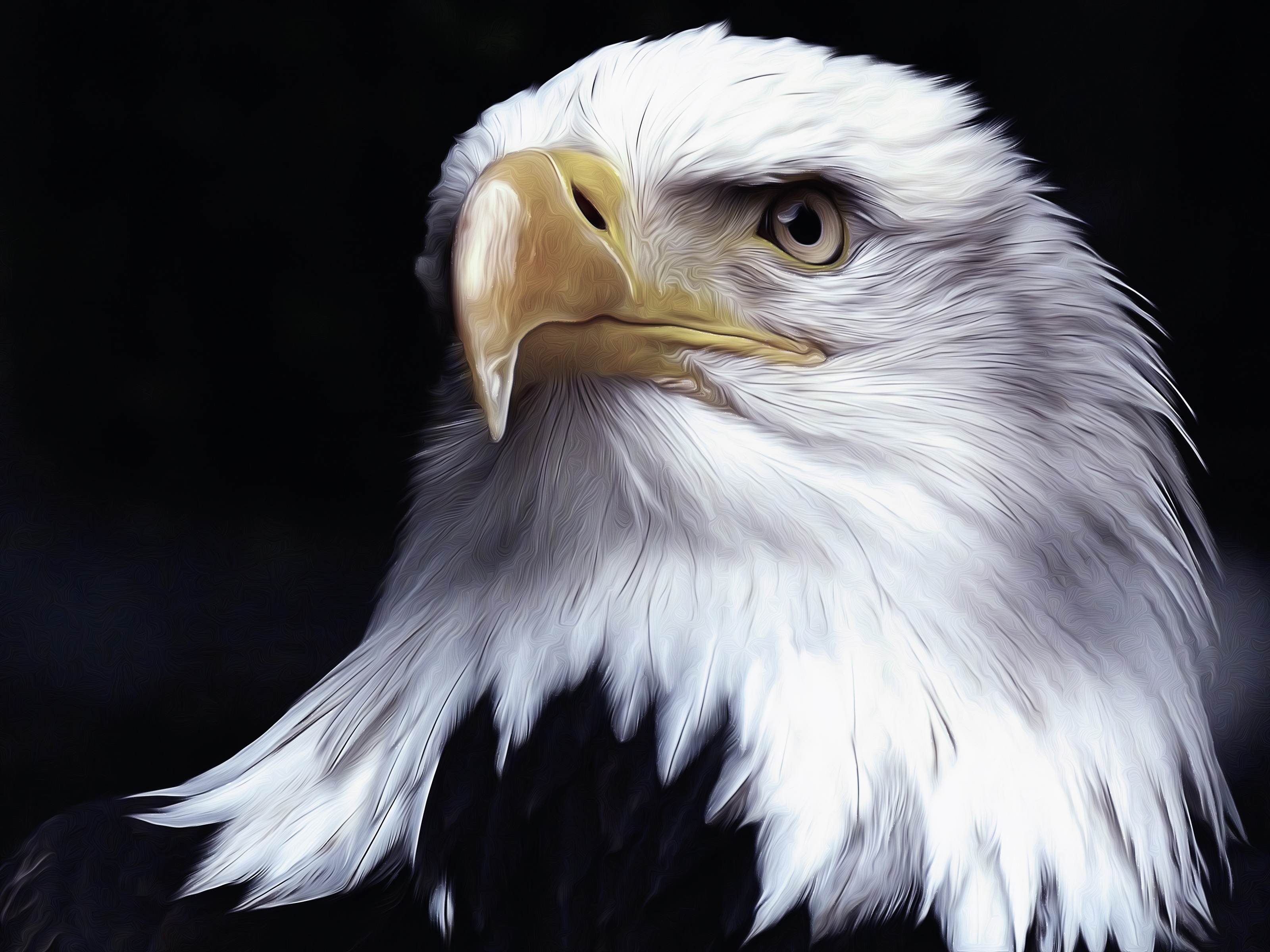 Download mobile wallpaper Birds, Bird, Animal, Bald Eagle, Oil Painting for free.