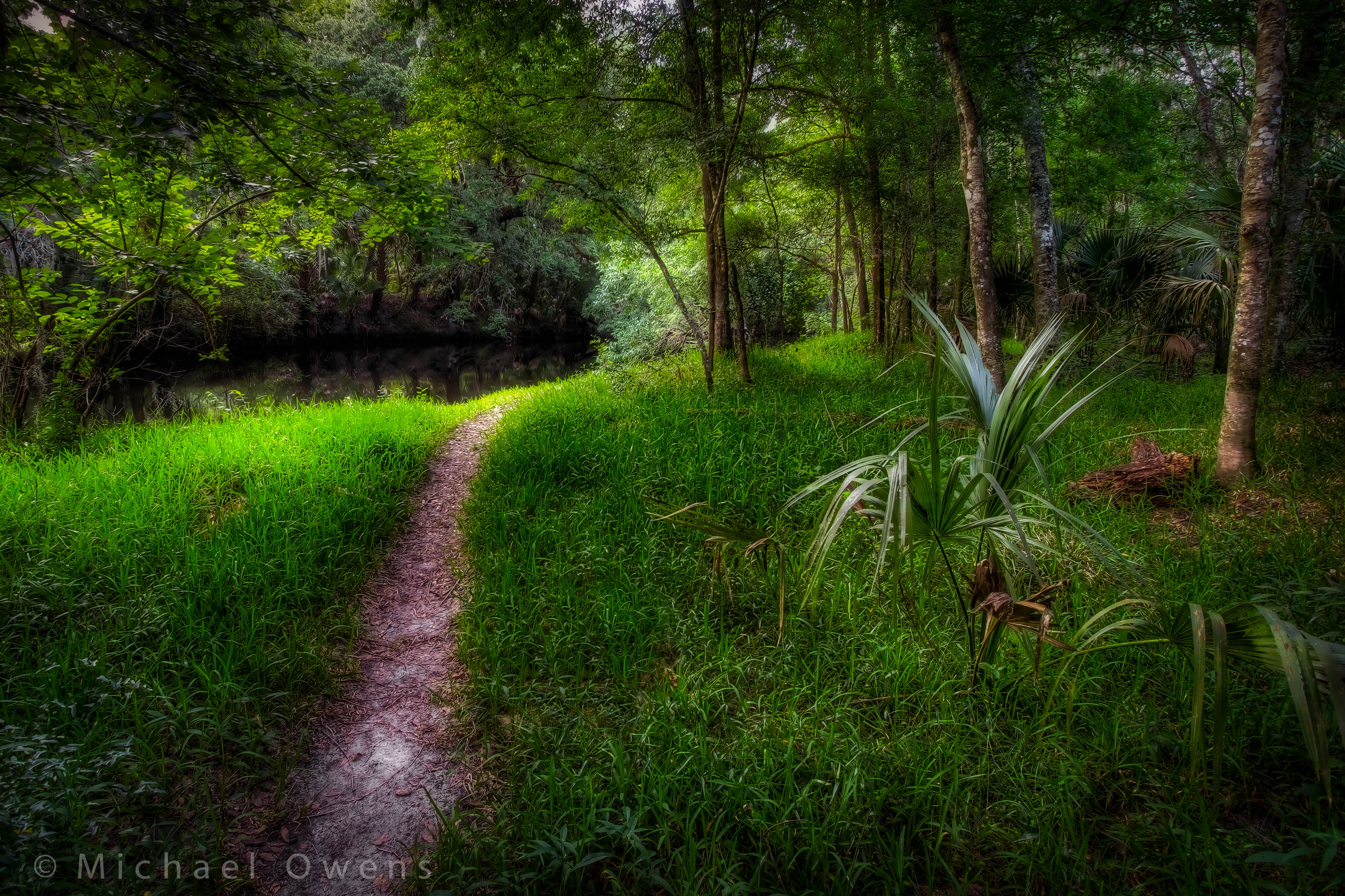 Download mobile wallpaper Grass, Forest, Path, Man Made for free.