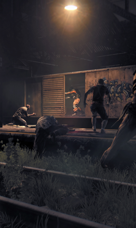 Baixar papel de parede para celular de Videogame, Dying Light gratuito.