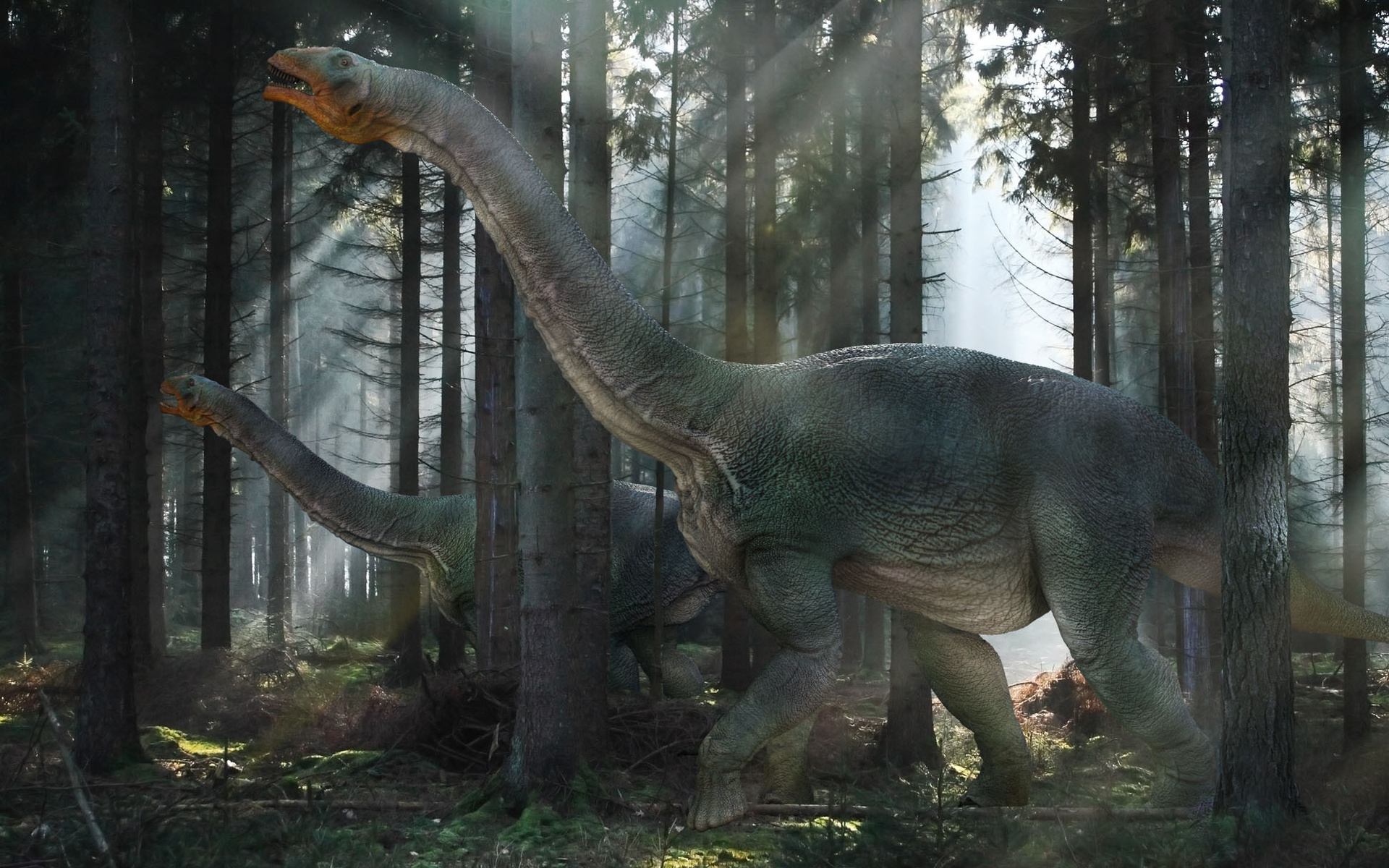 Baixe gratuitamente a imagem Animais, Dinossauros, Dinossauro na área de trabalho do seu PC