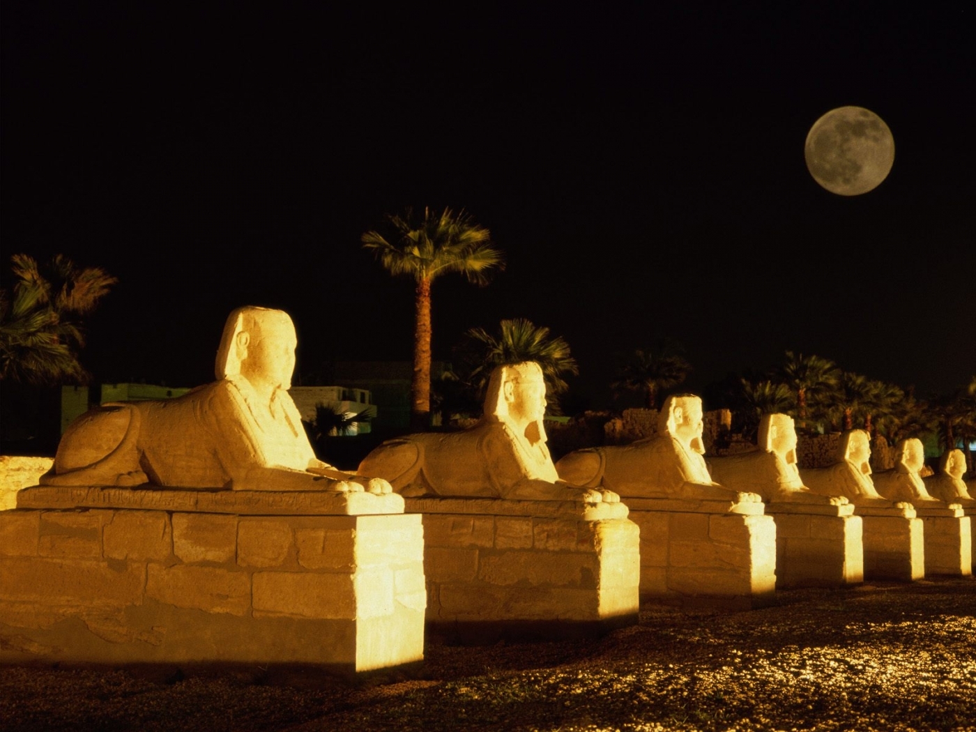 egypt, landscape, night, sphinx, black