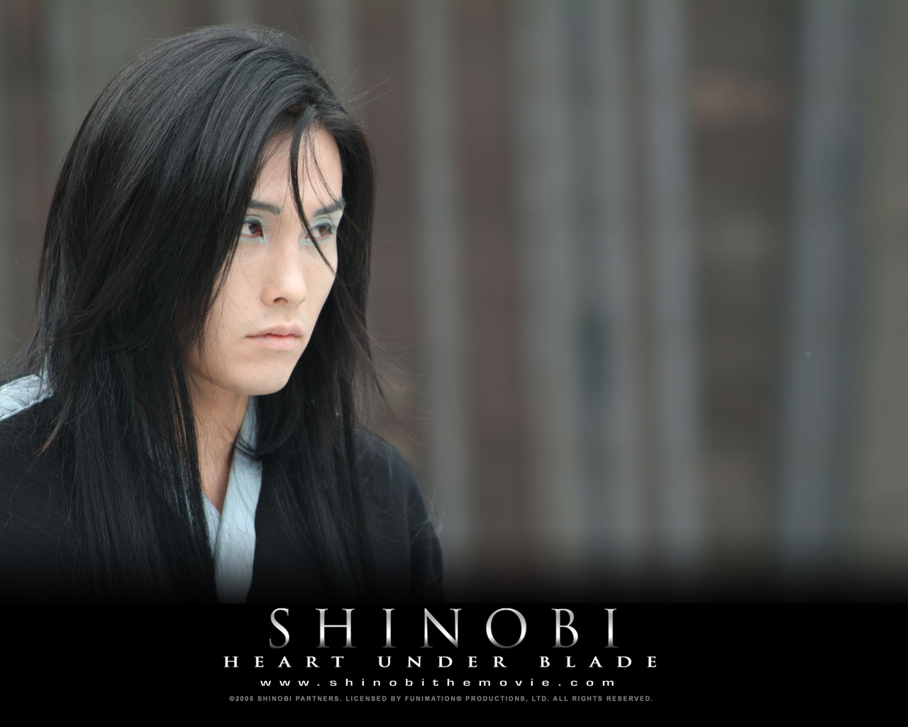 movie, shinobi: heart under blade