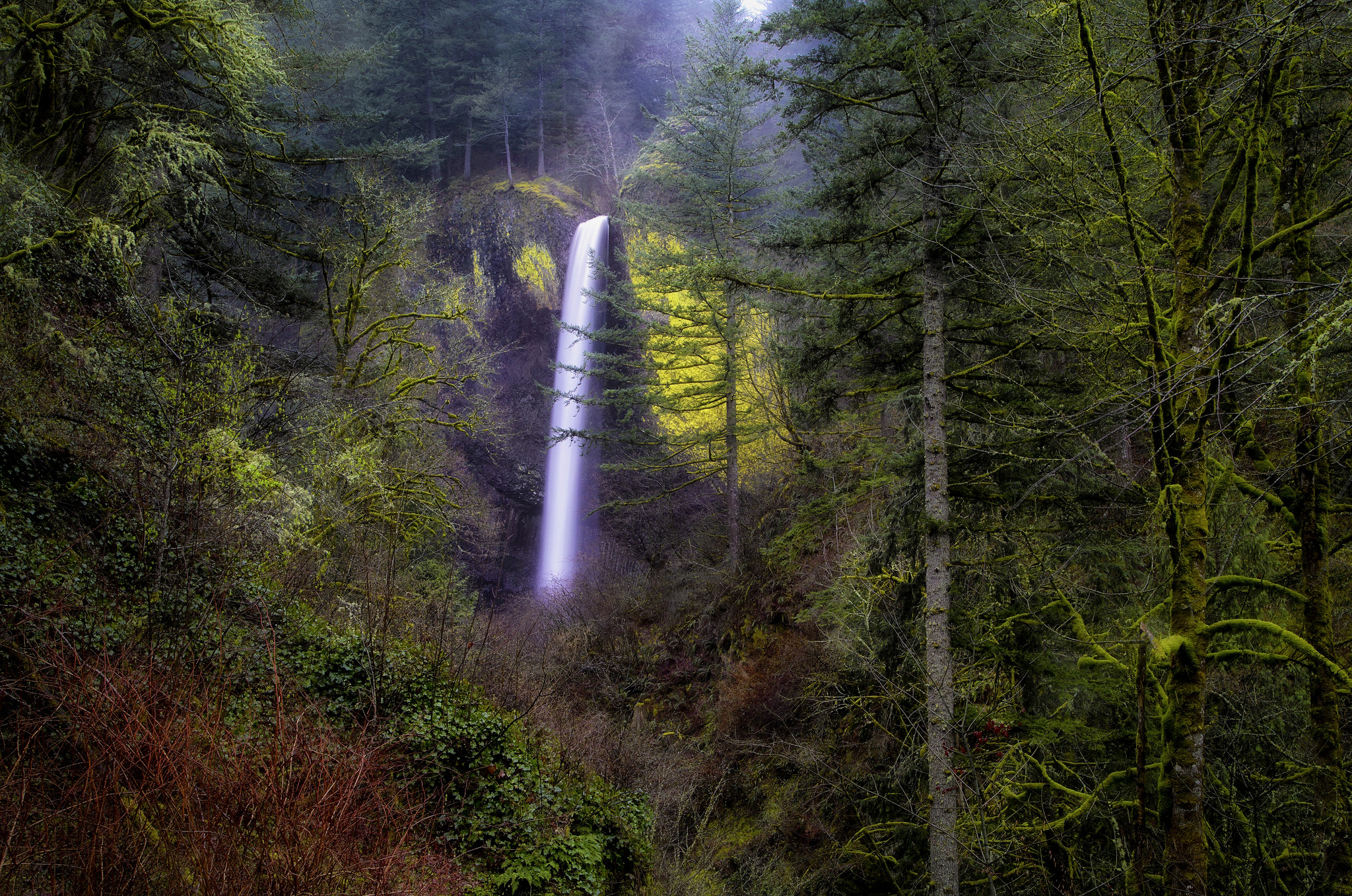 Descarga gratuita de fondo de pantalla para móvil de Cascadas, Cascada, Bosque, Árbol, Tierra/naturaleza.