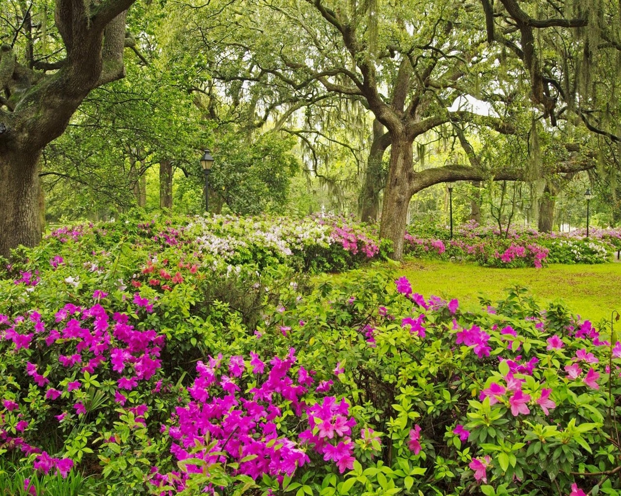 Baixar papel de parede para celular de Flor, Jardim, Feito Pelo Homem gratuito.