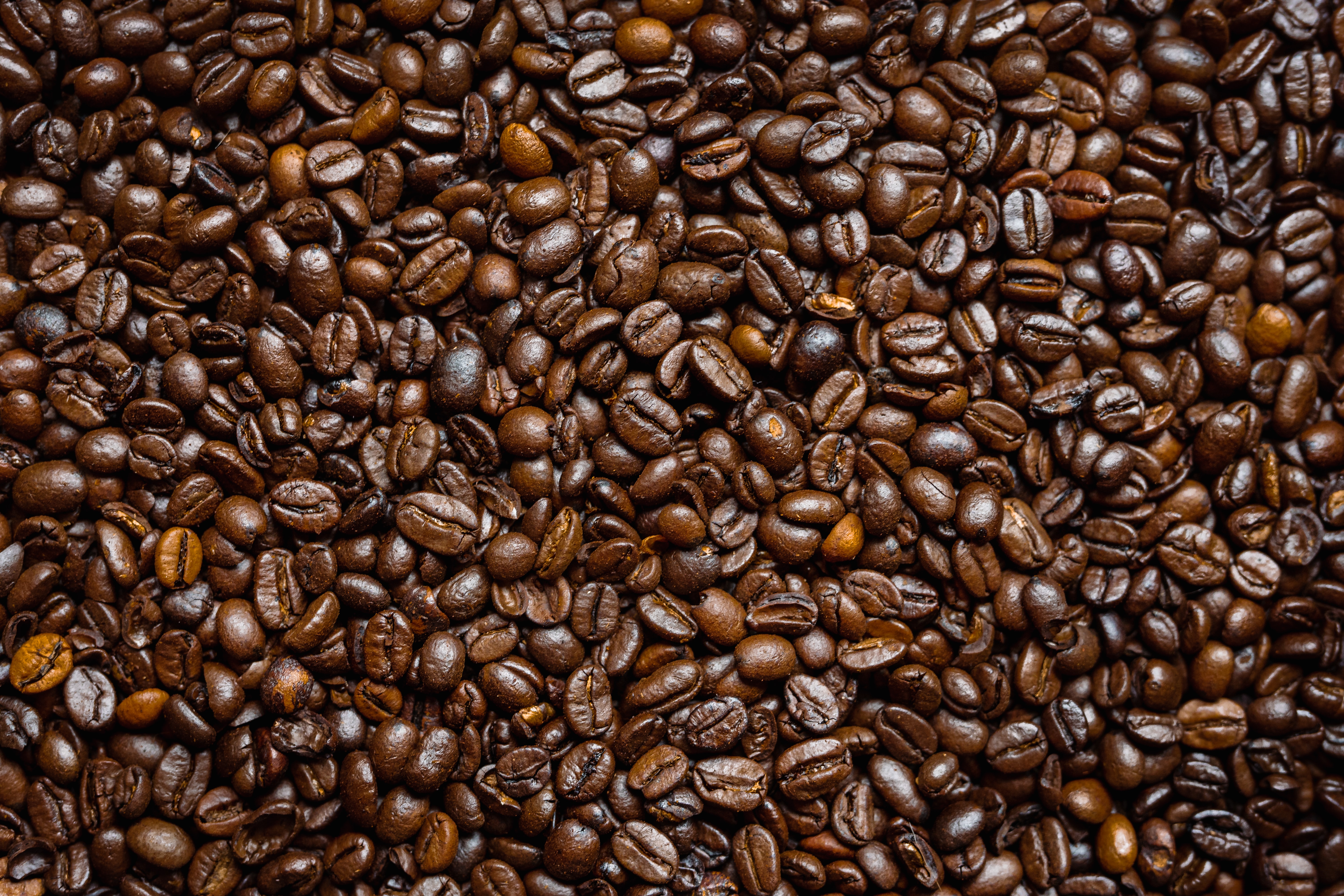 121483 скачать картинку кофе, зерна, коричневый, кофейные зерна, еда - обои и заставки бесплатно