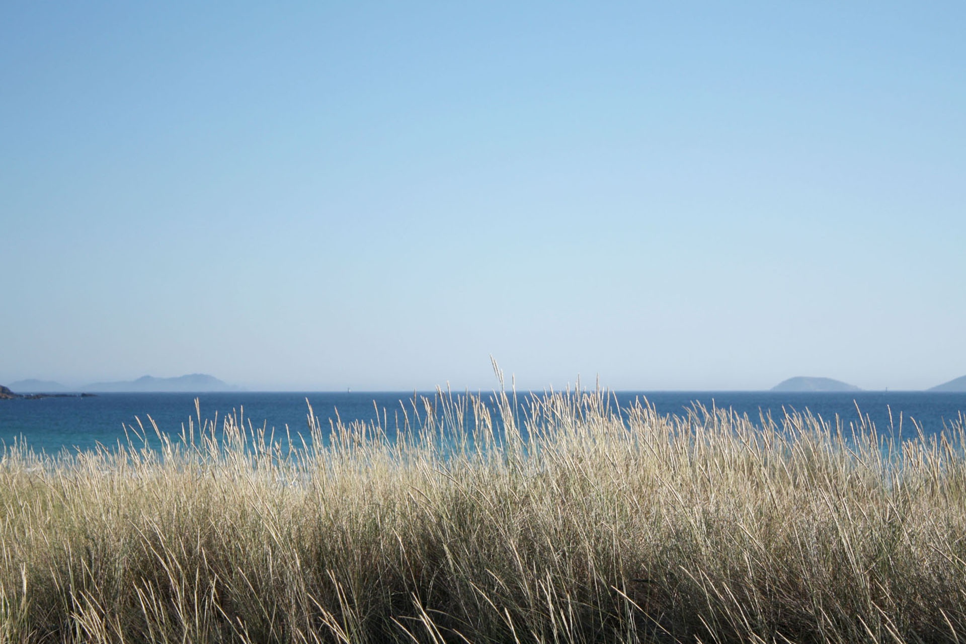 Laden Sie das Natur, Horizont, Ozean, Gras, Erde/natur-Bild kostenlos auf Ihren PC-Desktop herunter