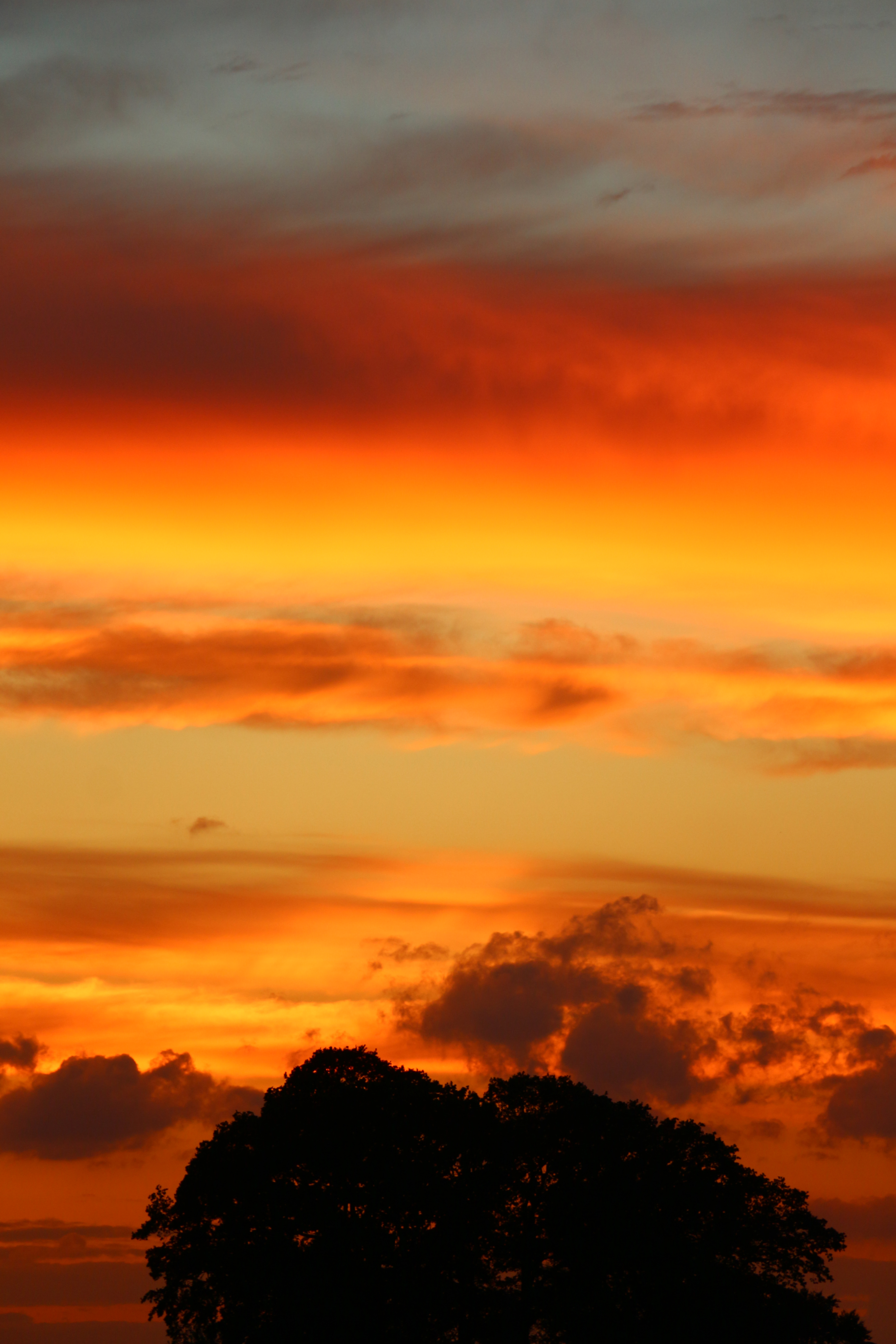 Free download wallpaper Sunset, Sky, Silhouette, Nature, Trees on your PC desktop
