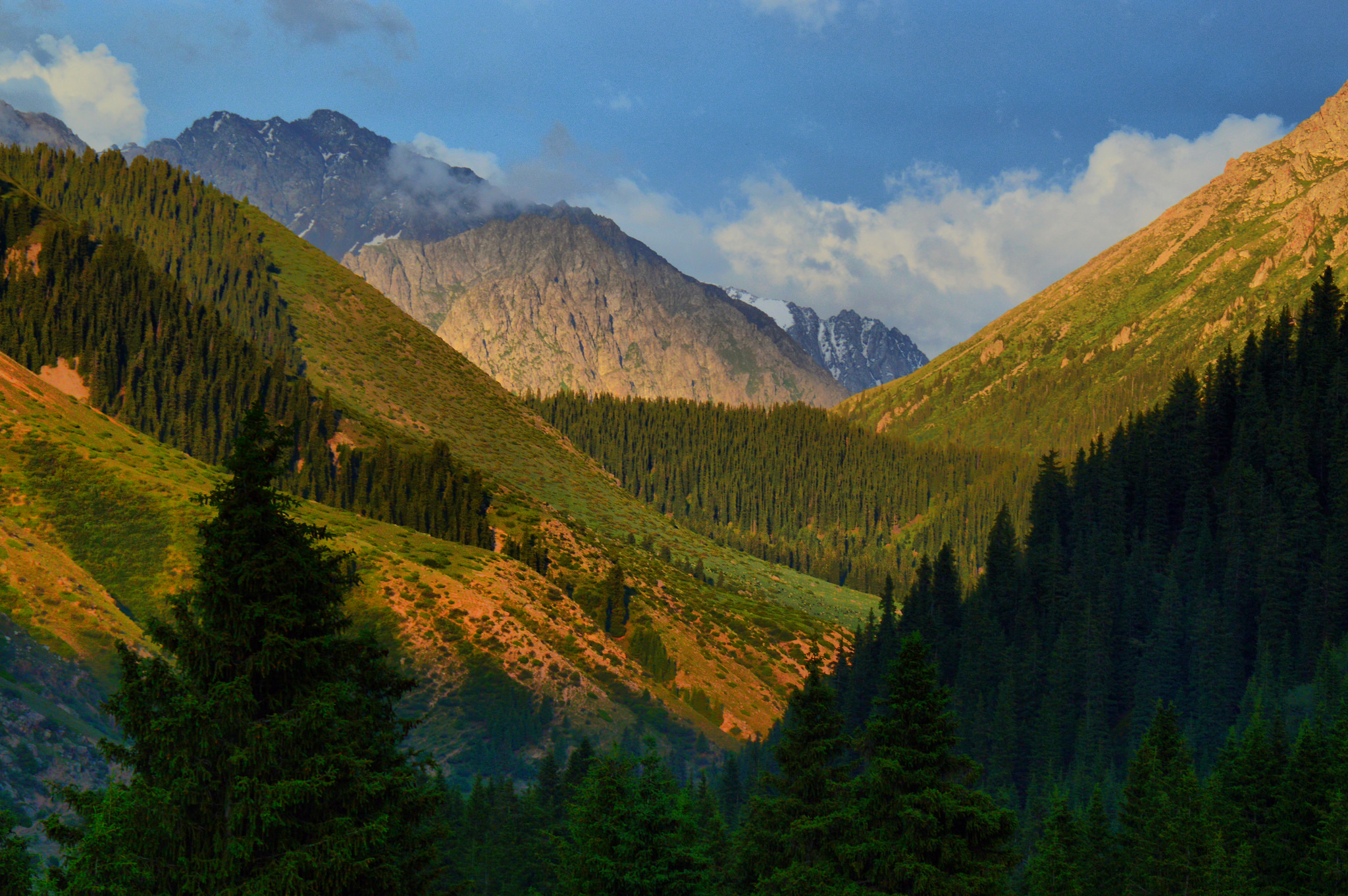 Laden Sie das Natur, Wald, Gebirge, Berge, Erde/natur-Bild kostenlos auf Ihren PC-Desktop herunter