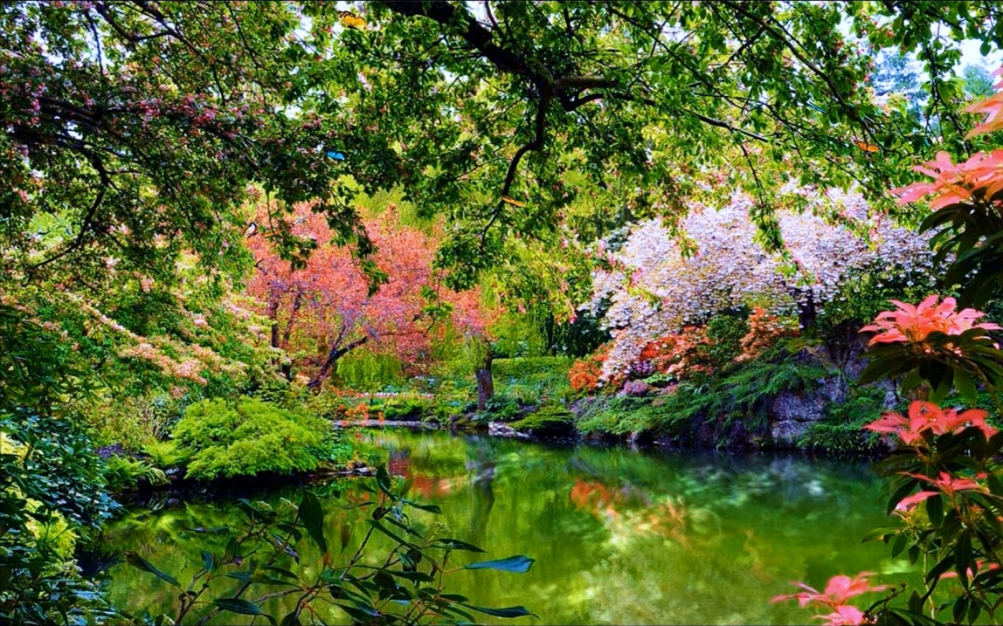 741472 завантажити картинку весна, створено людиною, сад, цвітіння, кущ, квітка, ставок, чагарник, дерево - шпалери і заставки безкоштовно