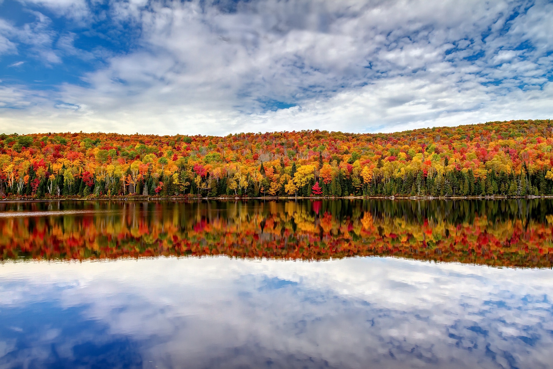 Descarga gratis la imagen Naturaleza, Otoño, Lago, Bosque, Tierra/naturaleza, Reflejo en el escritorio de tu PC