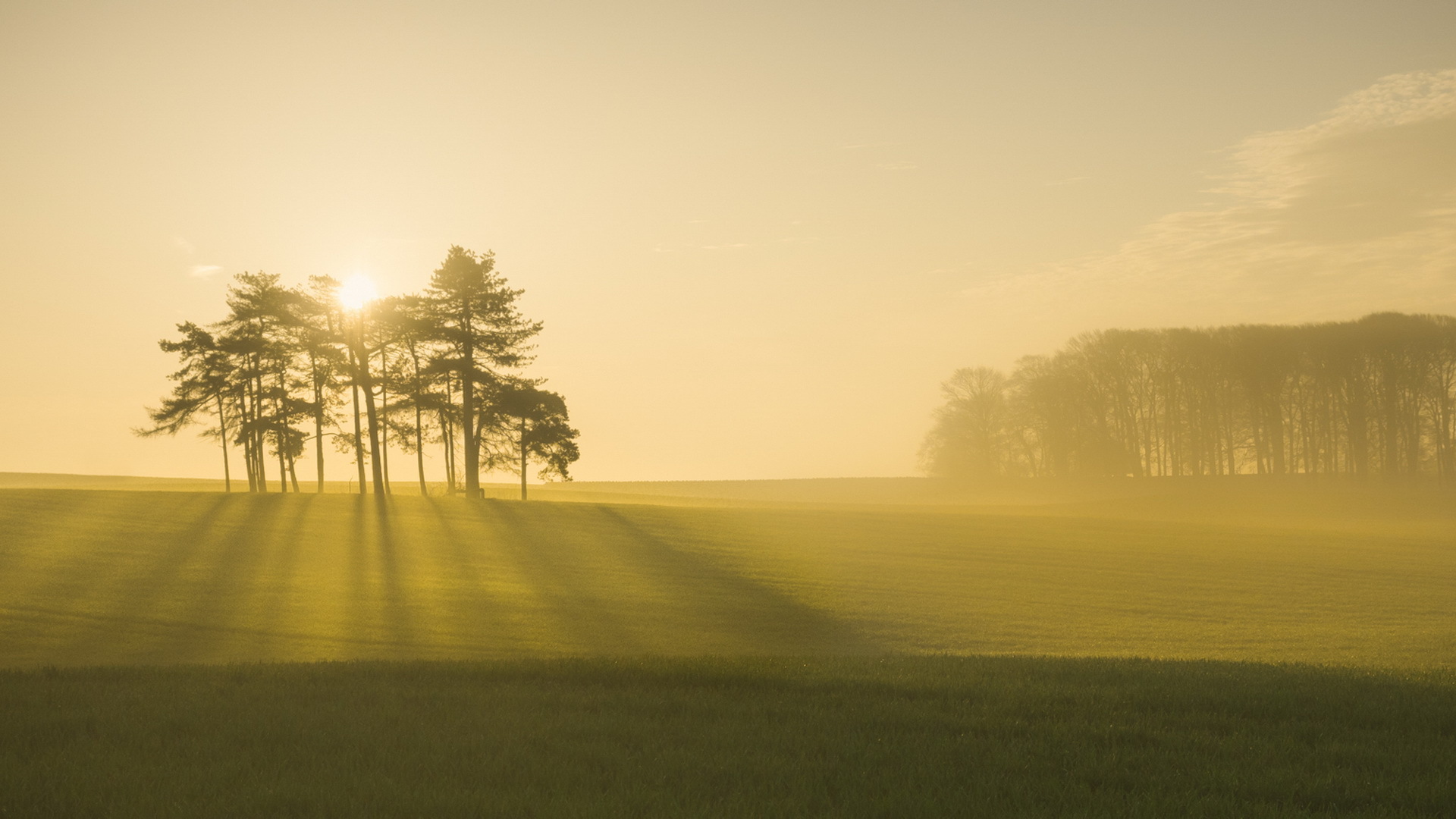 Free download wallpaper Nature, Fog, Earth, Field, Sunbeam on your PC desktop