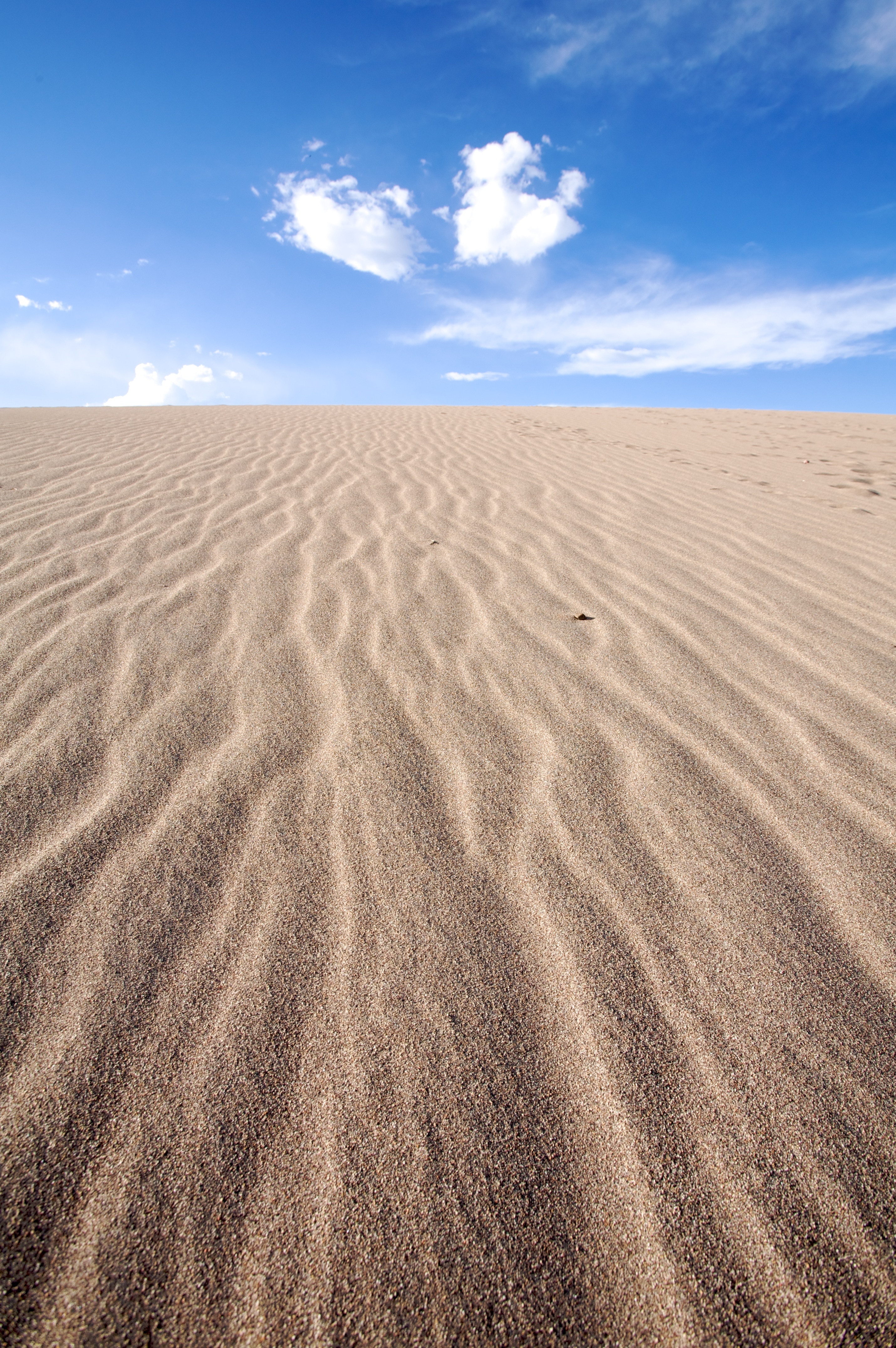97660 скачать картинку пустыня, природа, небо, песок, горизонт, дюны - обои и заставки бесплатно