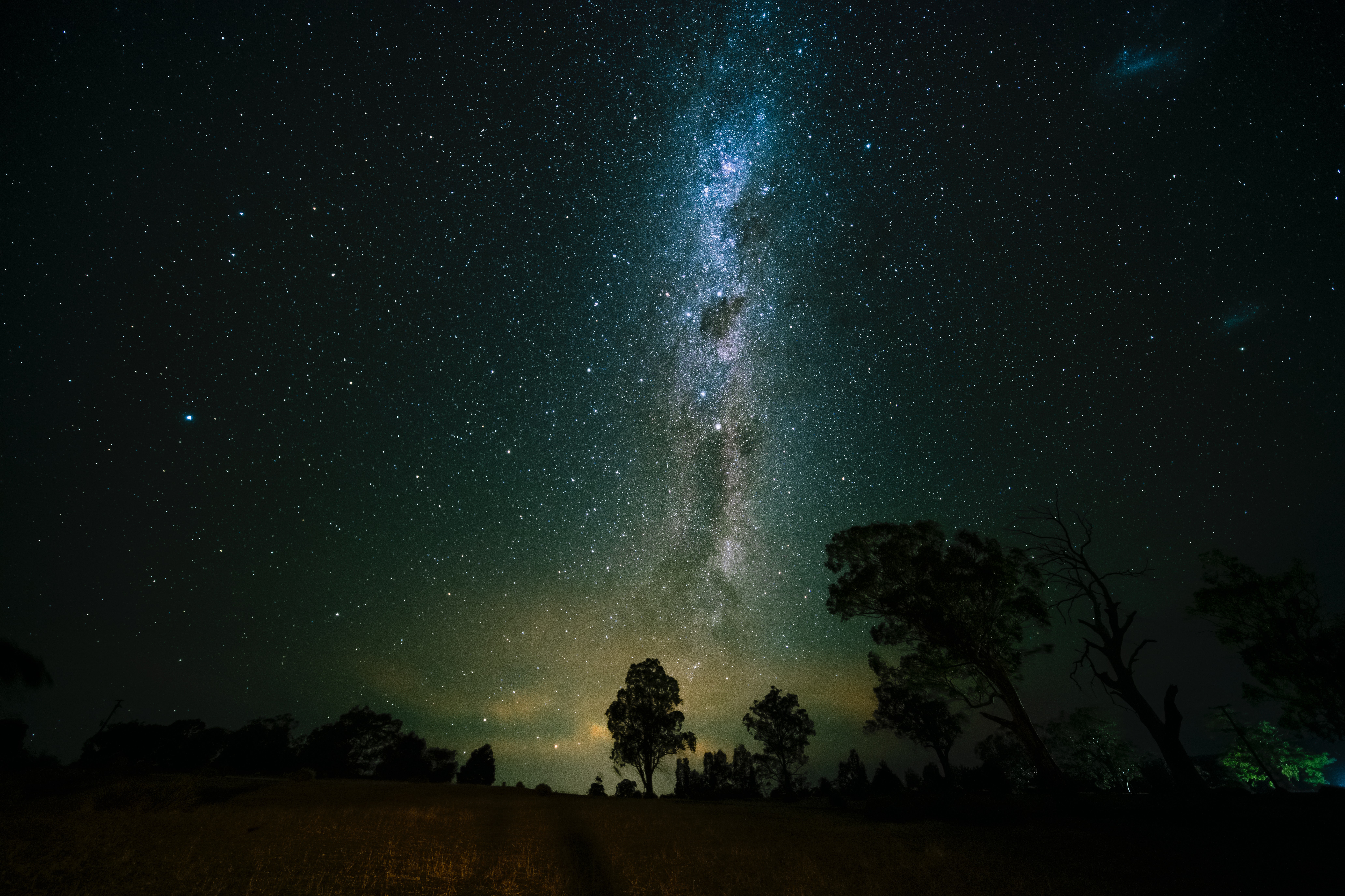 universe, trees, nature, starry sky 8K