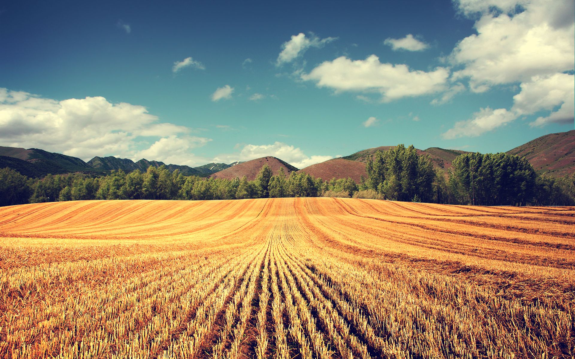 Free download wallpaper Earth, Field on your PC desktop