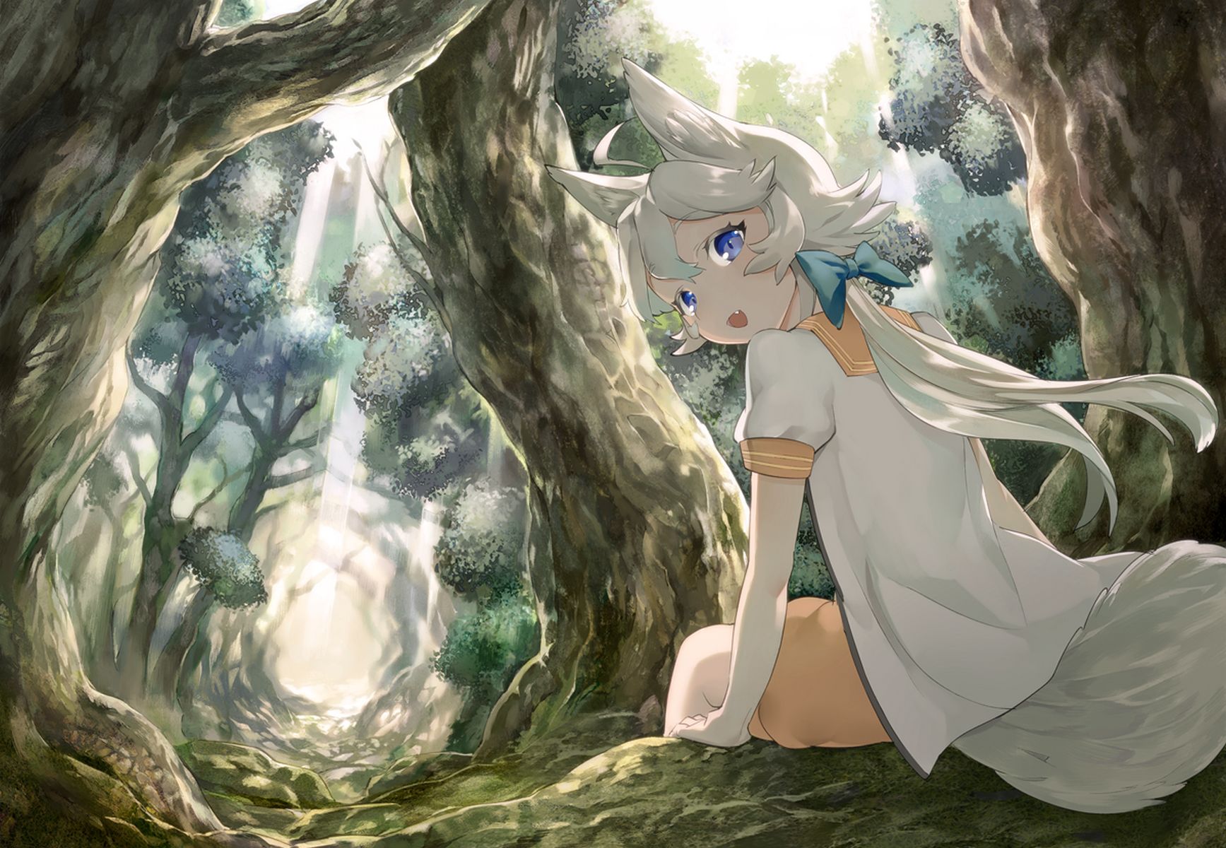 Free download wallpaper Anime, Forest, Tree, Blue Eyes, Original, Animal Ears on your PC desktop