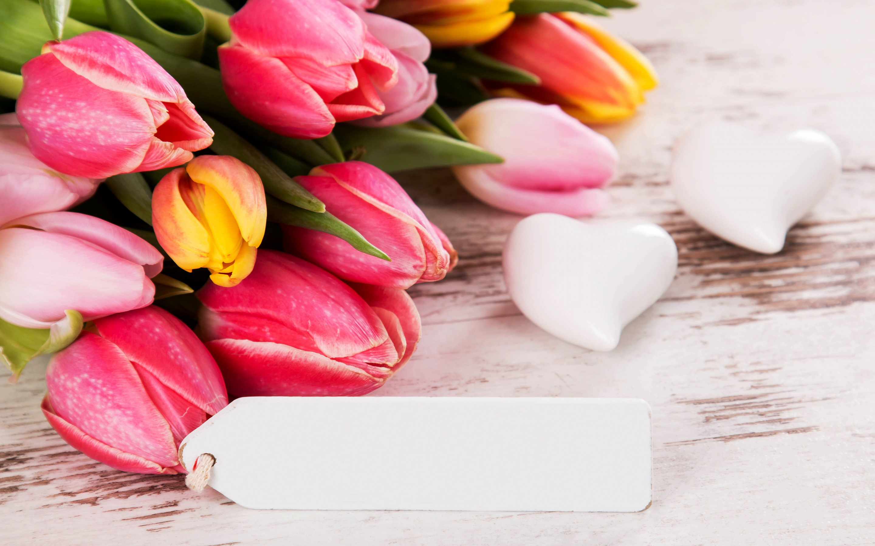 Laden Sie das Blume, Tulpe, Fotografie, Herz, Stillleben-Bild kostenlos auf Ihren PC-Desktop herunter
