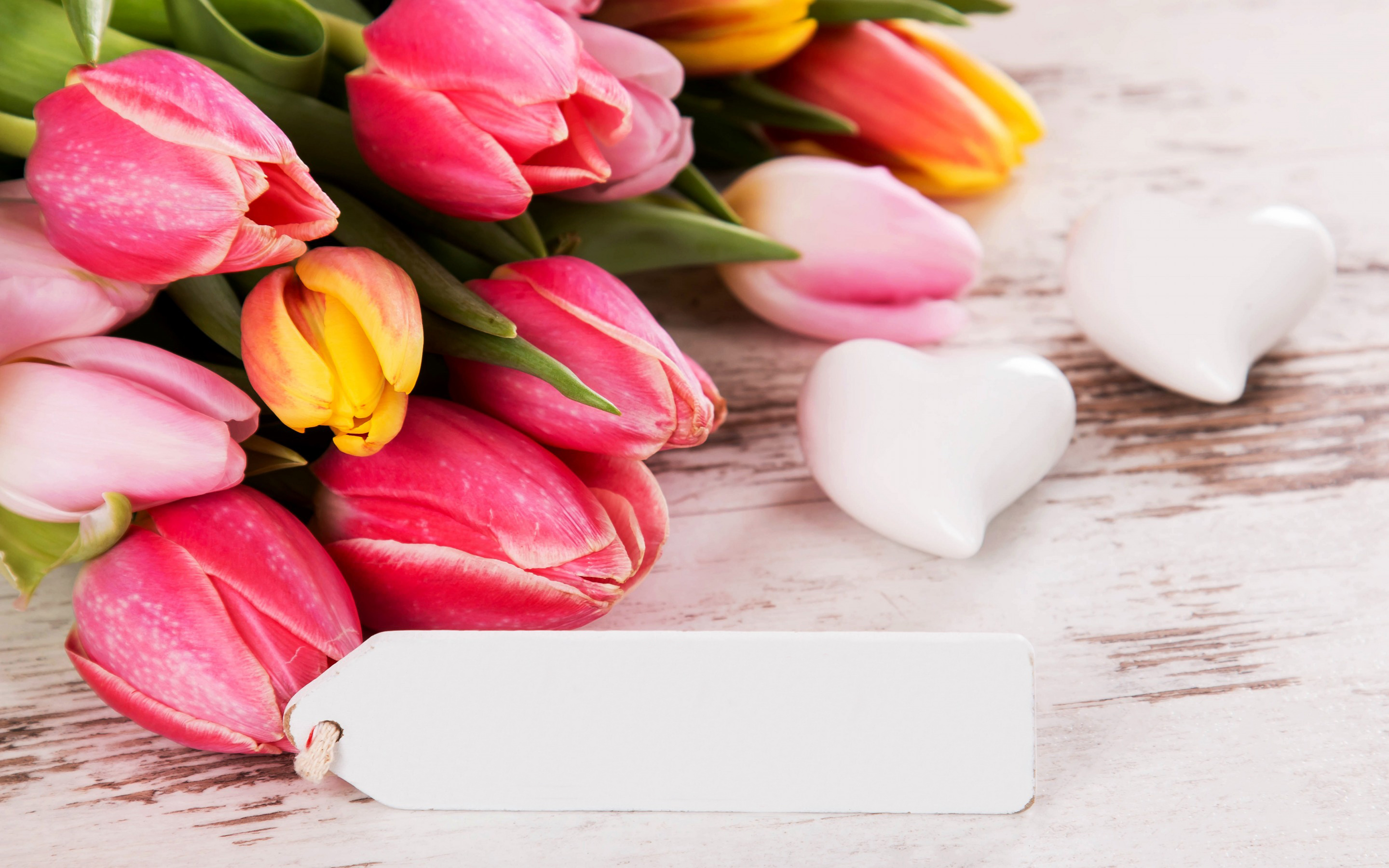 Free download wallpaper Still Life, Flower, Heart, Tulip, Photography on your PC desktop