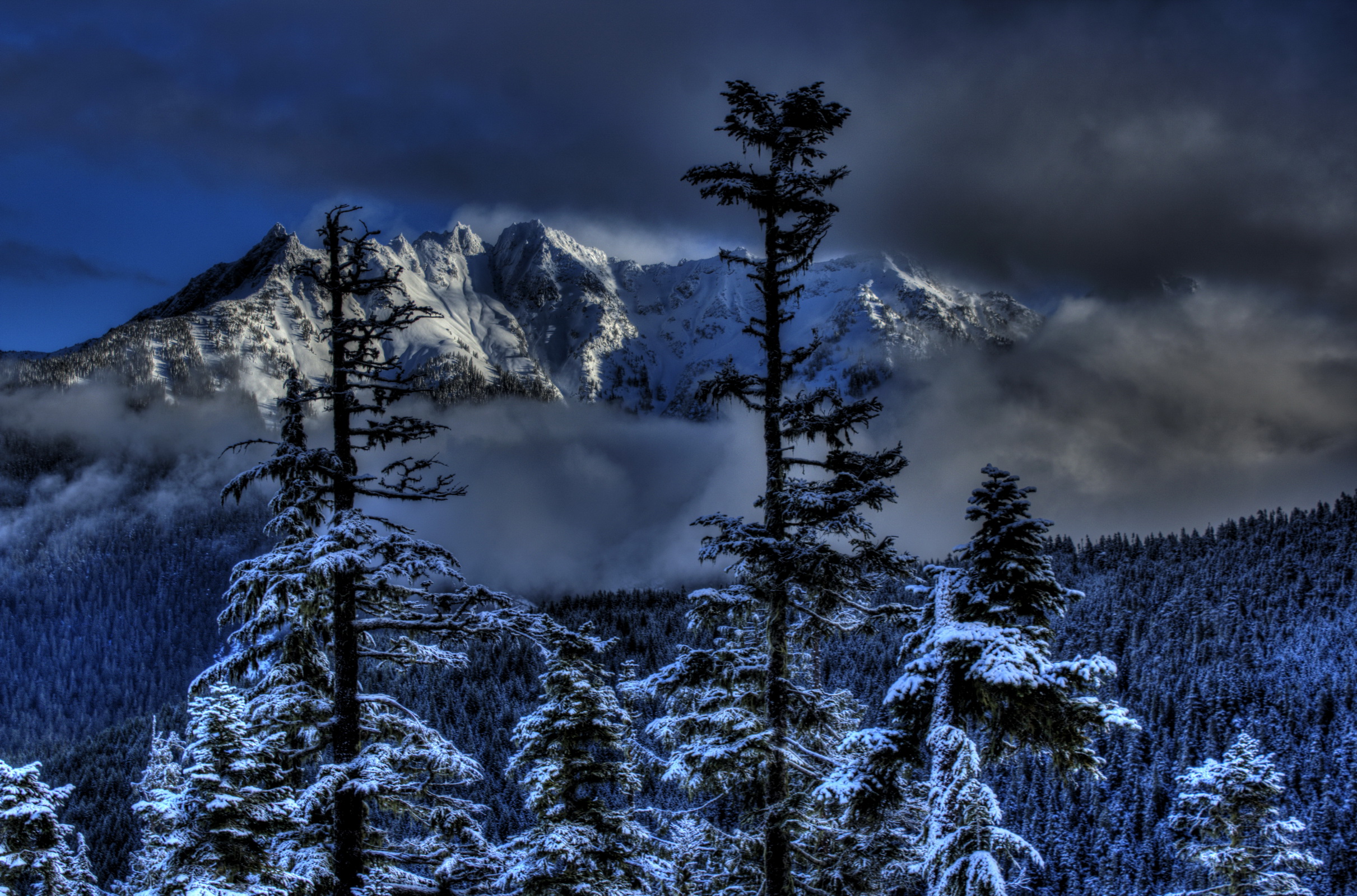 Скачать картинку Зима, Снег, Гора, Дерево, Туман, Ландшафт, Земля/природа в телефон бесплатно.