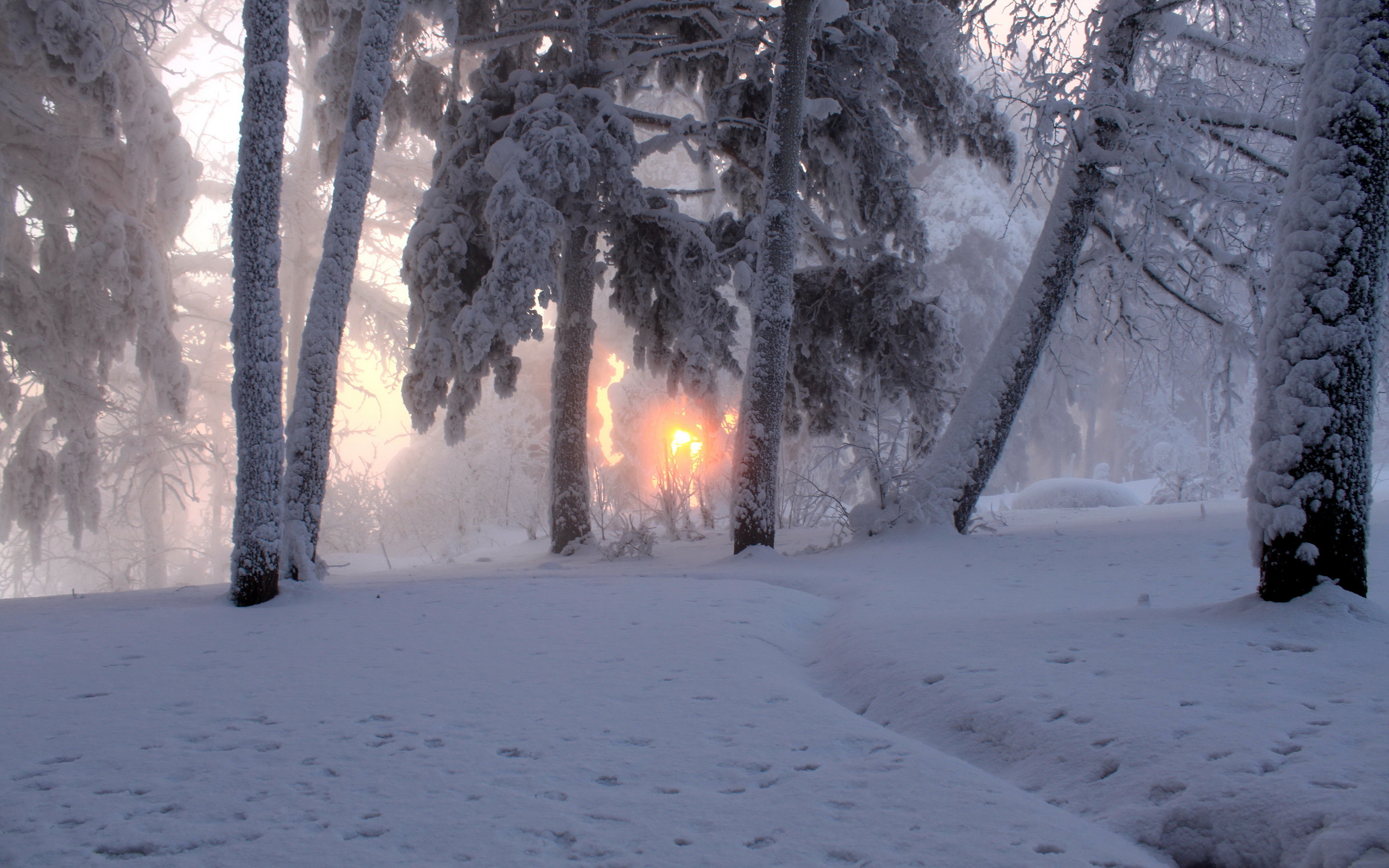 Téléchargez gratuitement l'image Hiver, Terre/nature sur le bureau de votre PC