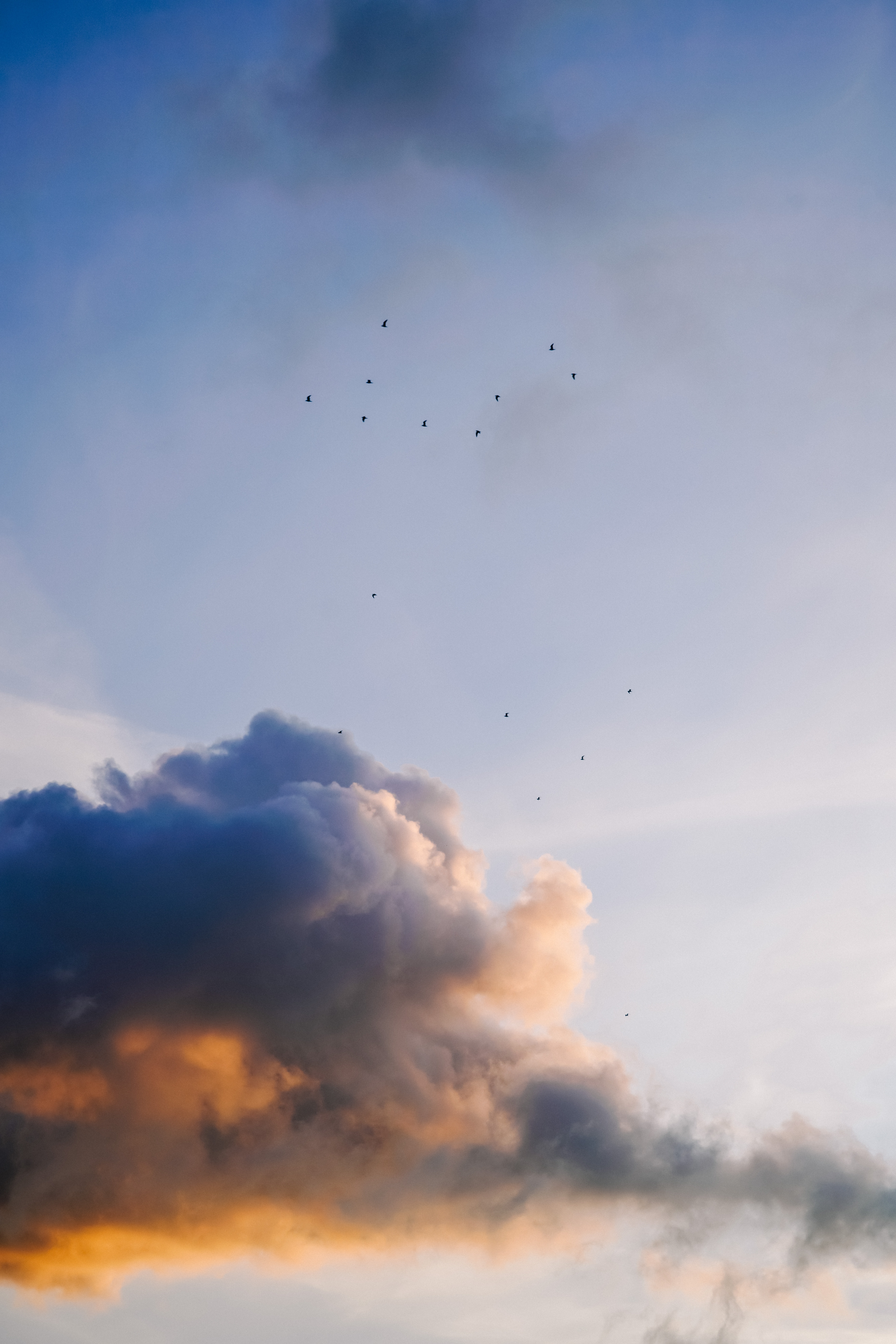 Free download wallpaper Nature, Sky, Clouds, Flock, Birds on your PC desktop