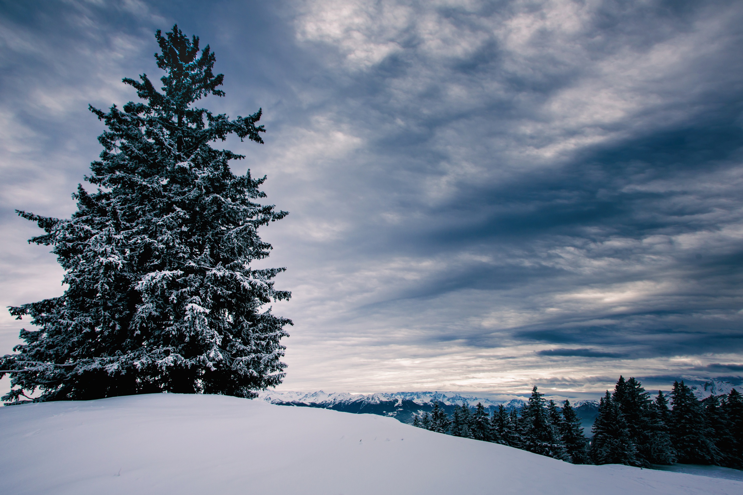 PCデスクトップに風景, 冬, 自然, 木, 雪, 地球, クラウド画像を無料でダウンロード