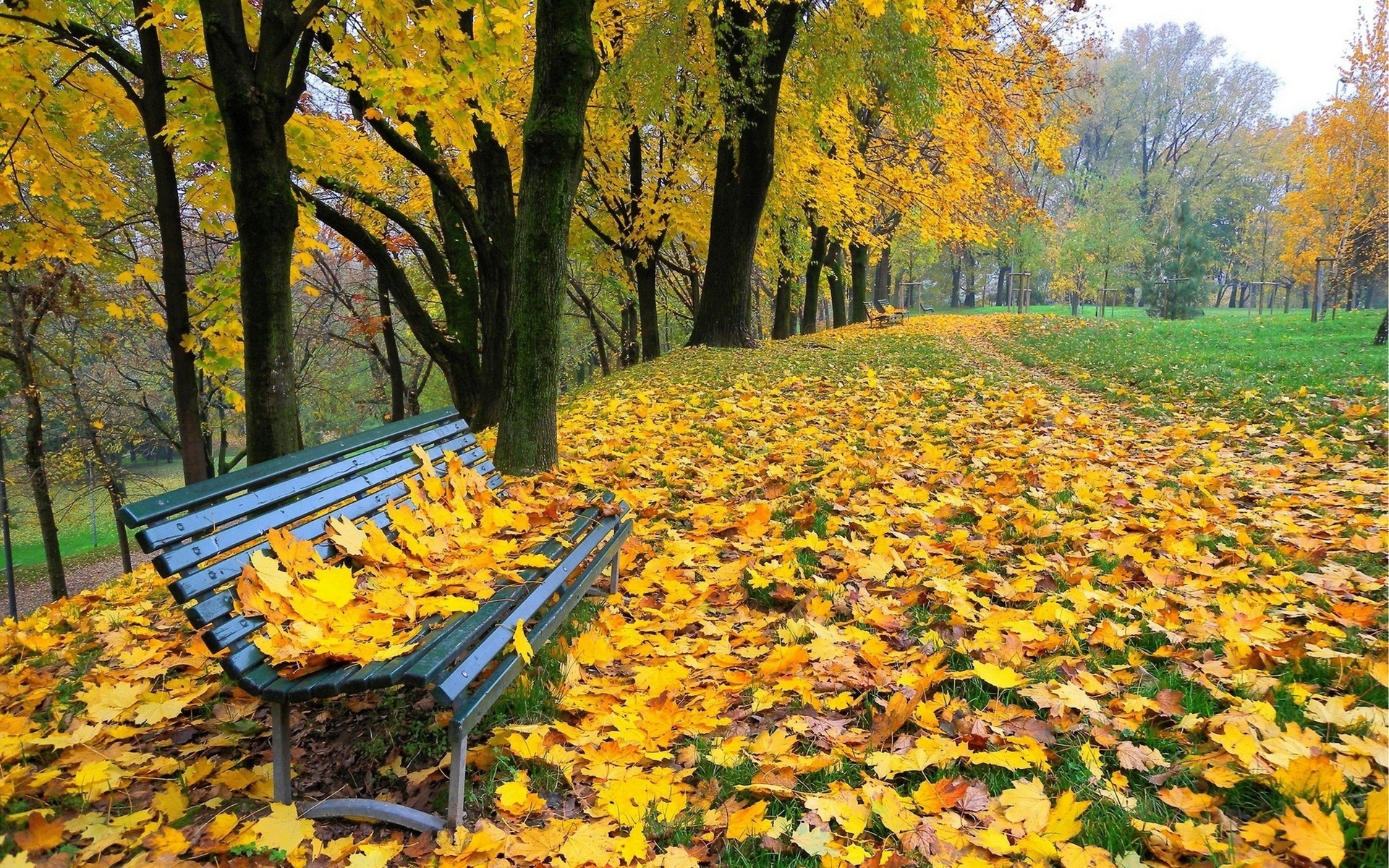 Скачать обои бесплатно Осень, Парк, Дерево, Скамья, Жёлтый, Сделано Человеком картинка на рабочий стол ПК
