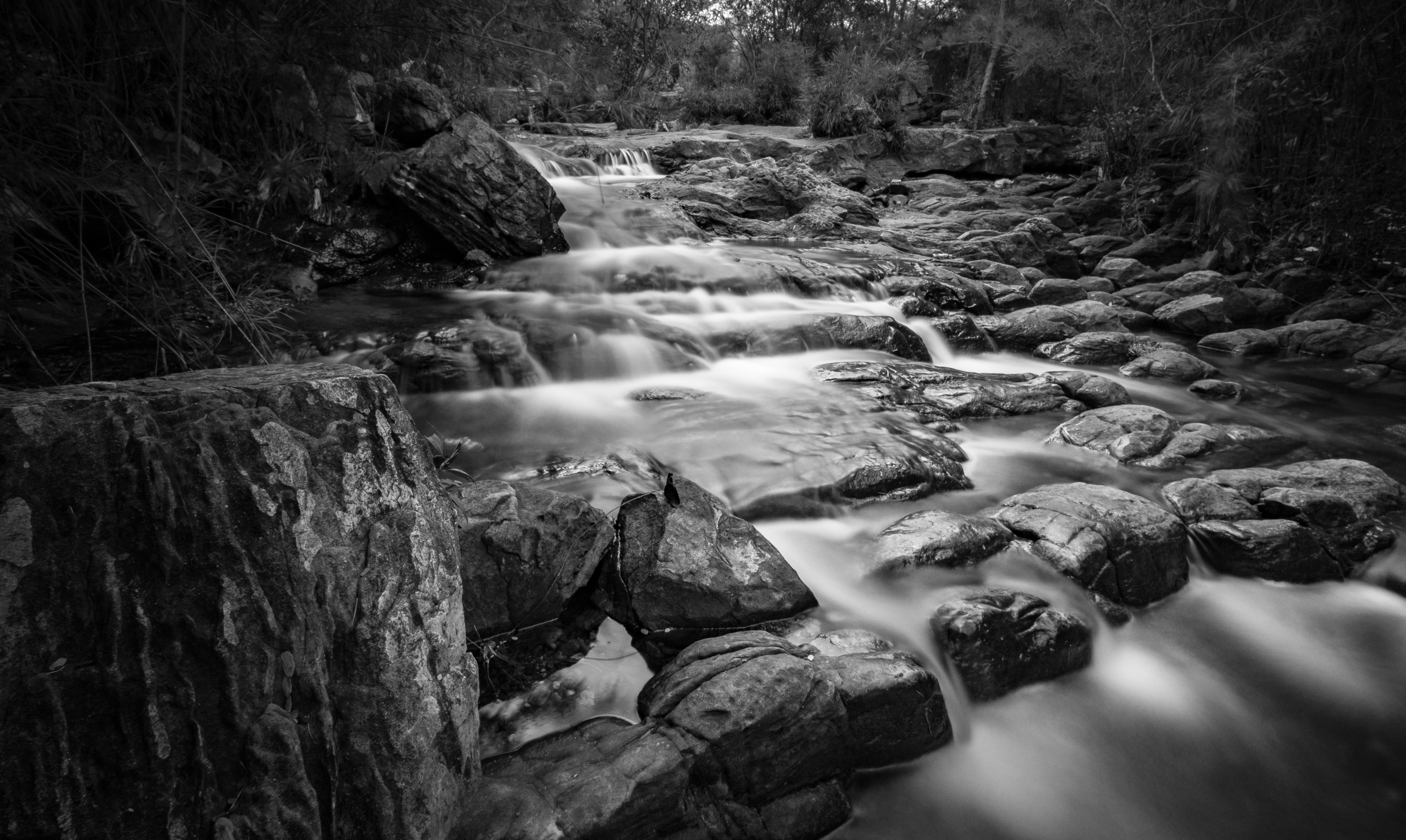 Descarga gratuita de fondo de pantalla para móvil de Naturaleza, Blanco Y Negro, Chorro, Tierra/naturaleza.