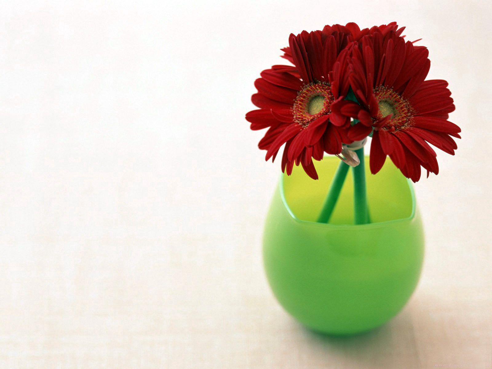 Free download wallpaper Flowers, Gerberas, Three, Vase on your PC desktop