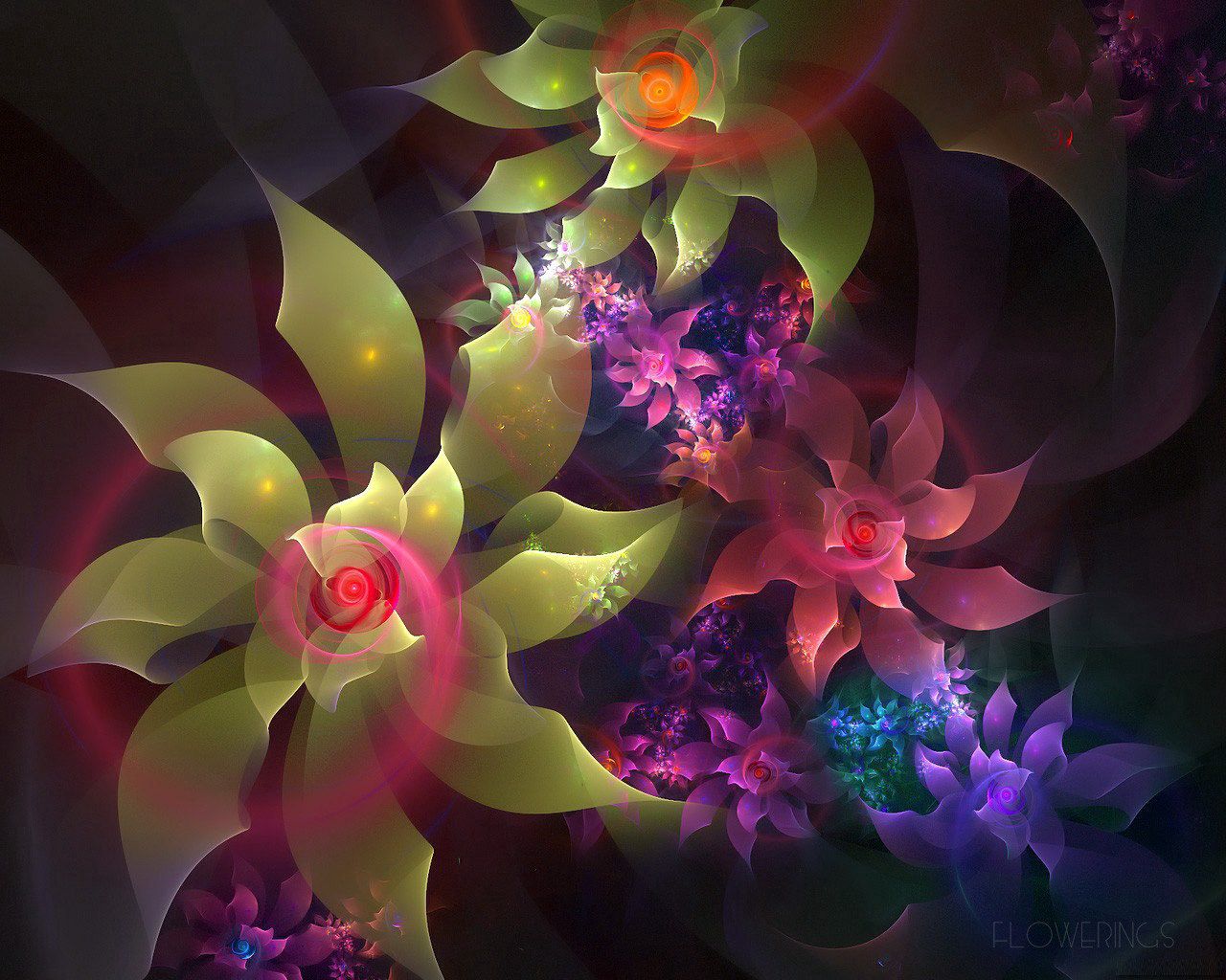 motley, multicolored, abstract, bloom, flowering