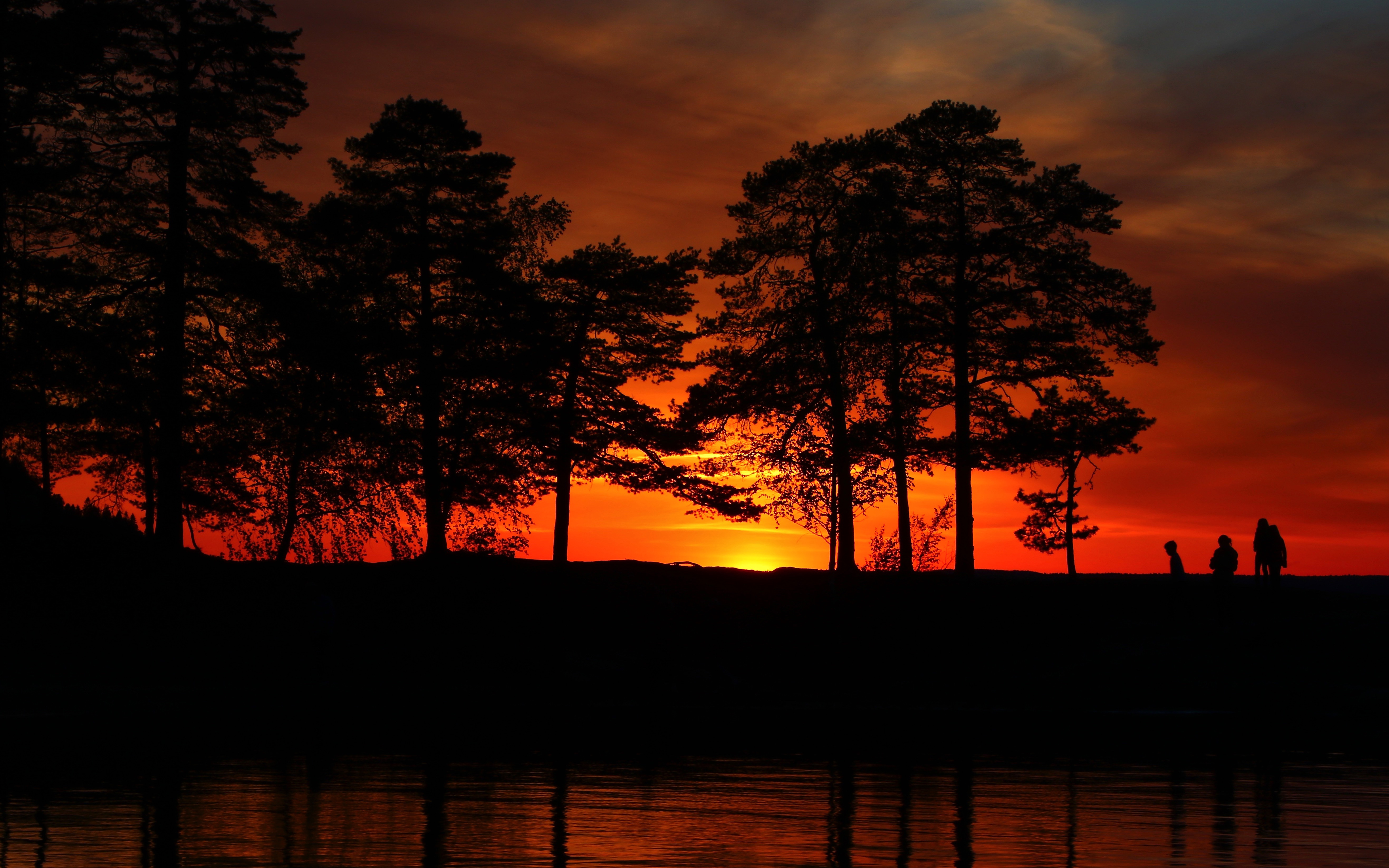 Descarga gratis la imagen Lago, Silueta, Árbol, Atardecer, Tierra/naturaleza, Color Naranja) en el escritorio de tu PC