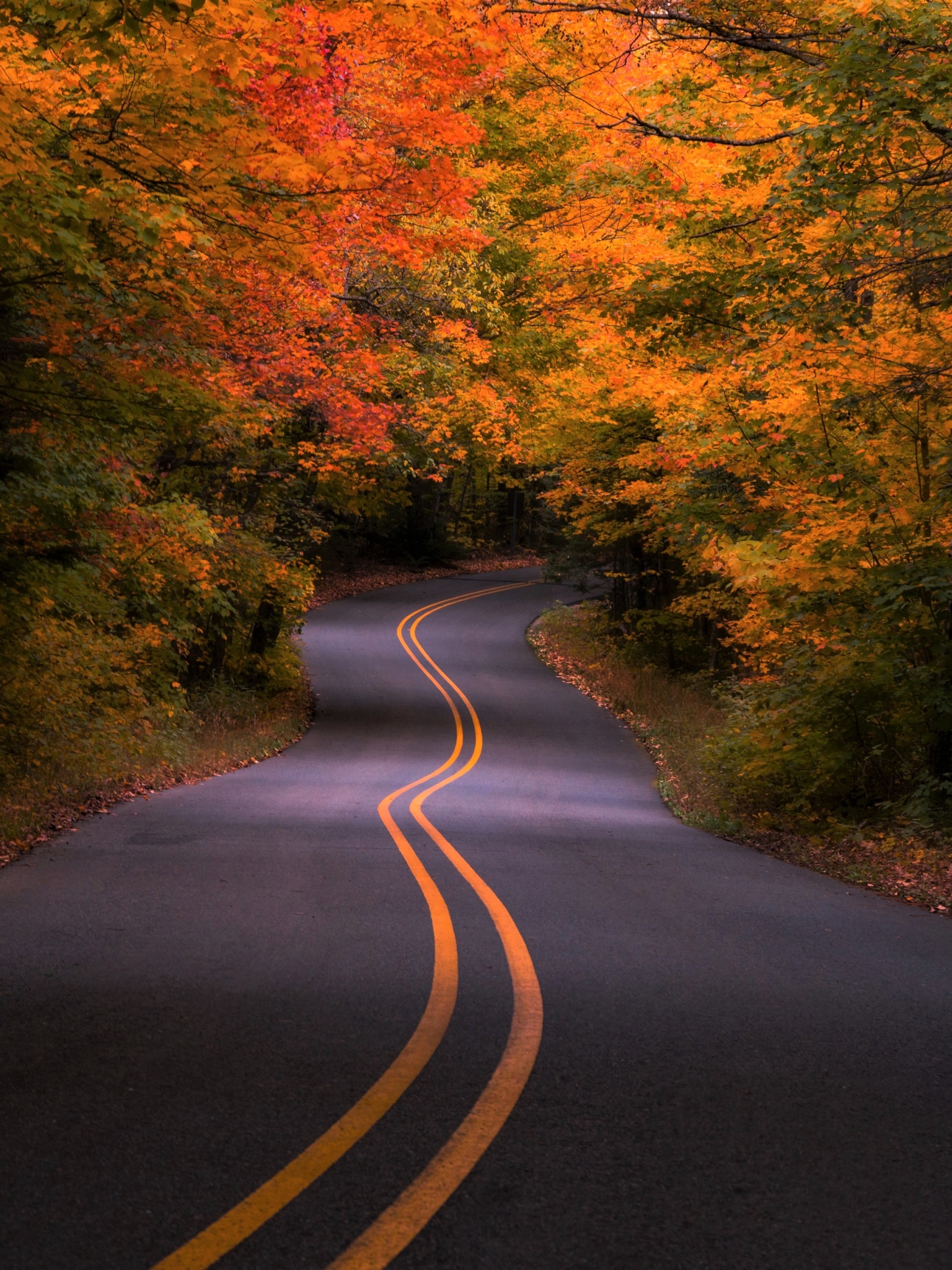 Download mobile wallpaper Road, Forest, Fall, Colors, Man Made for free.