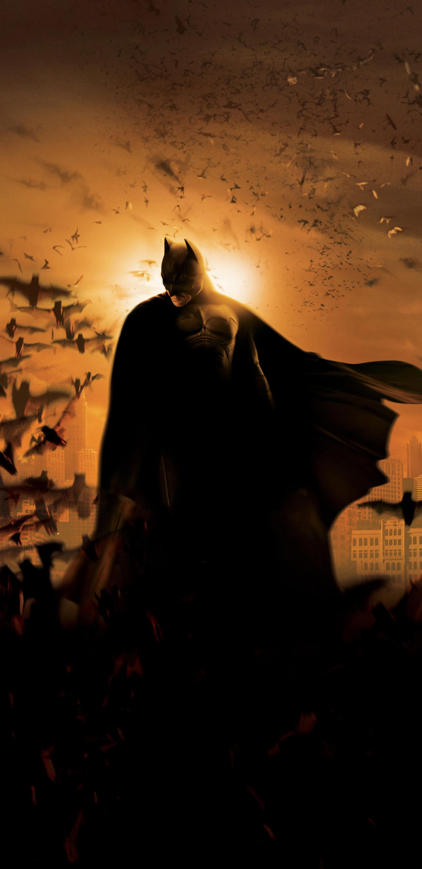 bruce wayne, superhero, movie, batman begins, batman, bat, dc comics, night