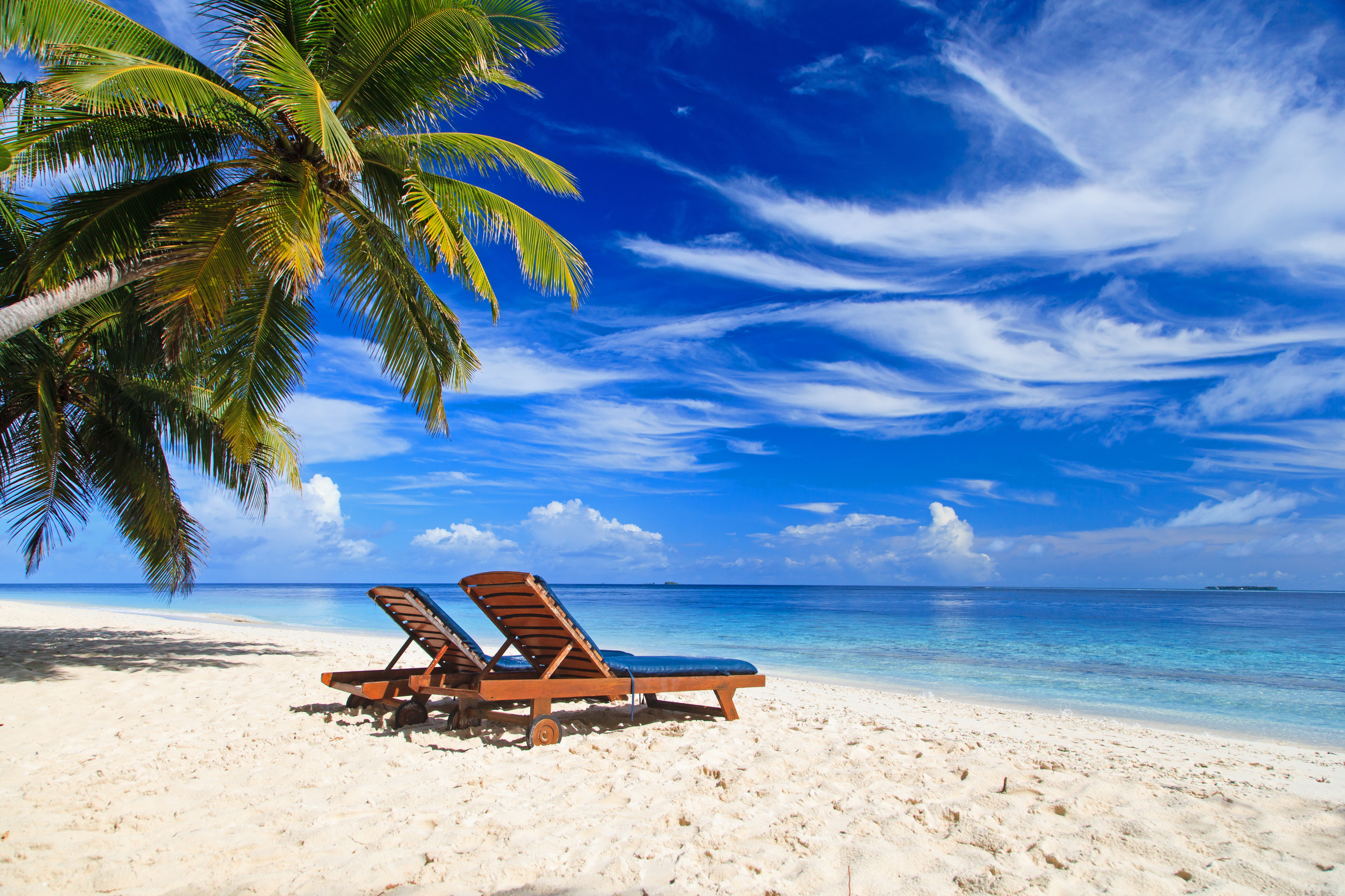 Free download wallpaper Sky, Beach, Sand, Horizon, Ocean, Photography, Palm Tree on your PC desktop
