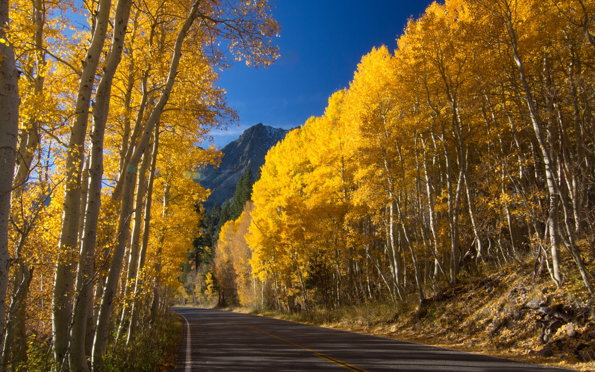 PCデスクトップに道路, 秋, 風景画像を無料でダウンロード