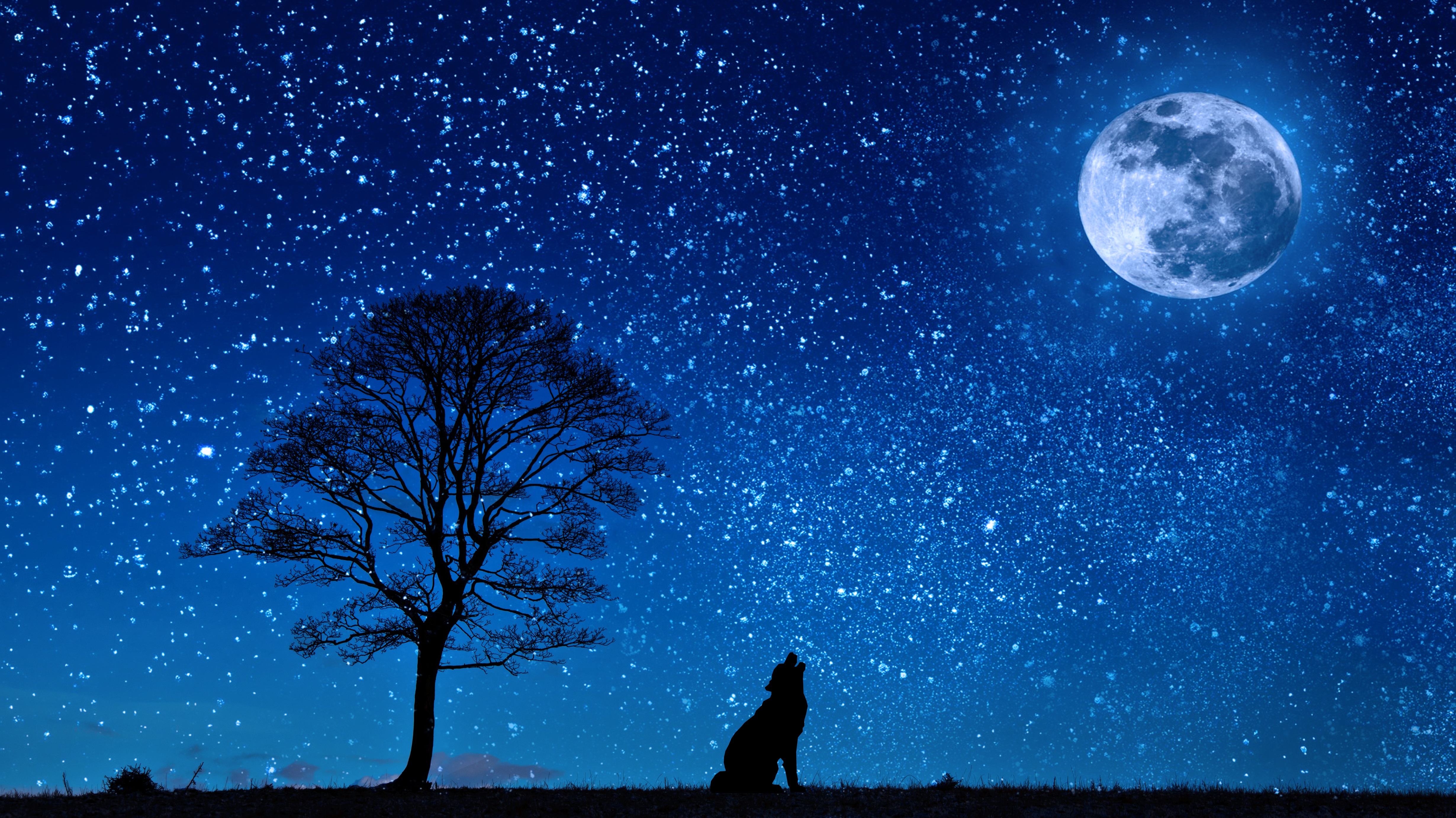 wolf, vector, starry sky, moon, wood, tree