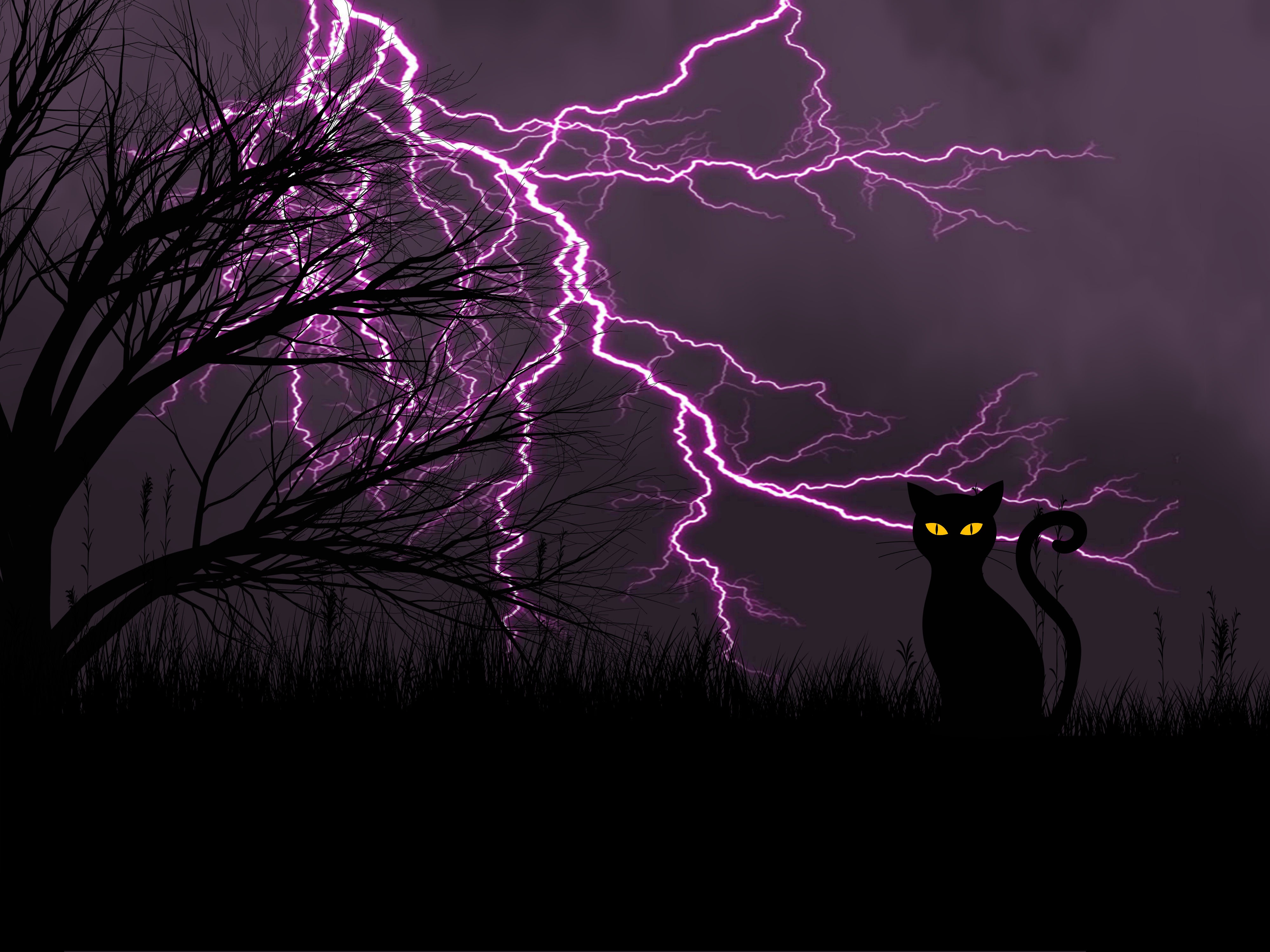 51209 скачать картинку молния, черный кот, ночь, трава, арт - обои и заставки бесплатно