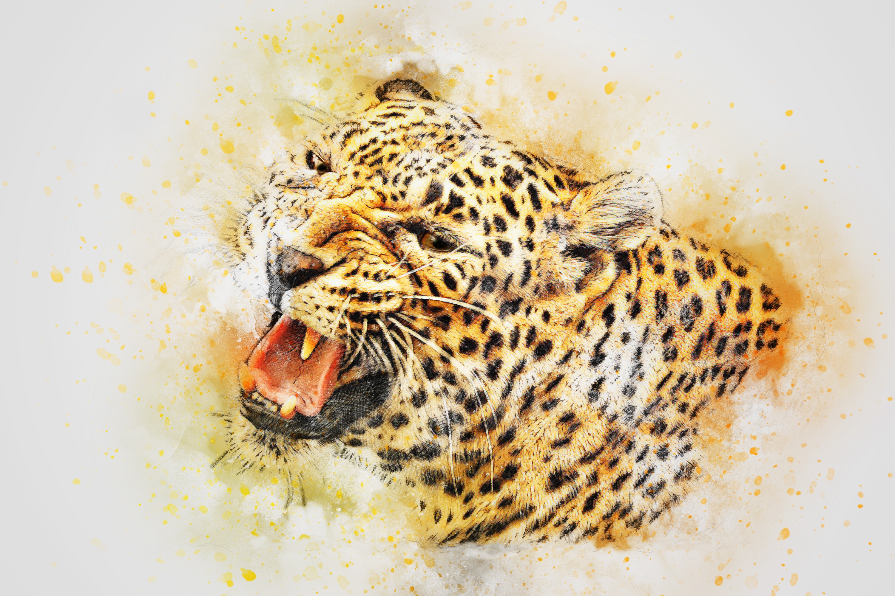 Descarga gratuita de fondo de pantalla para móvil de Depredador, Animales, Leopardo, Arte.