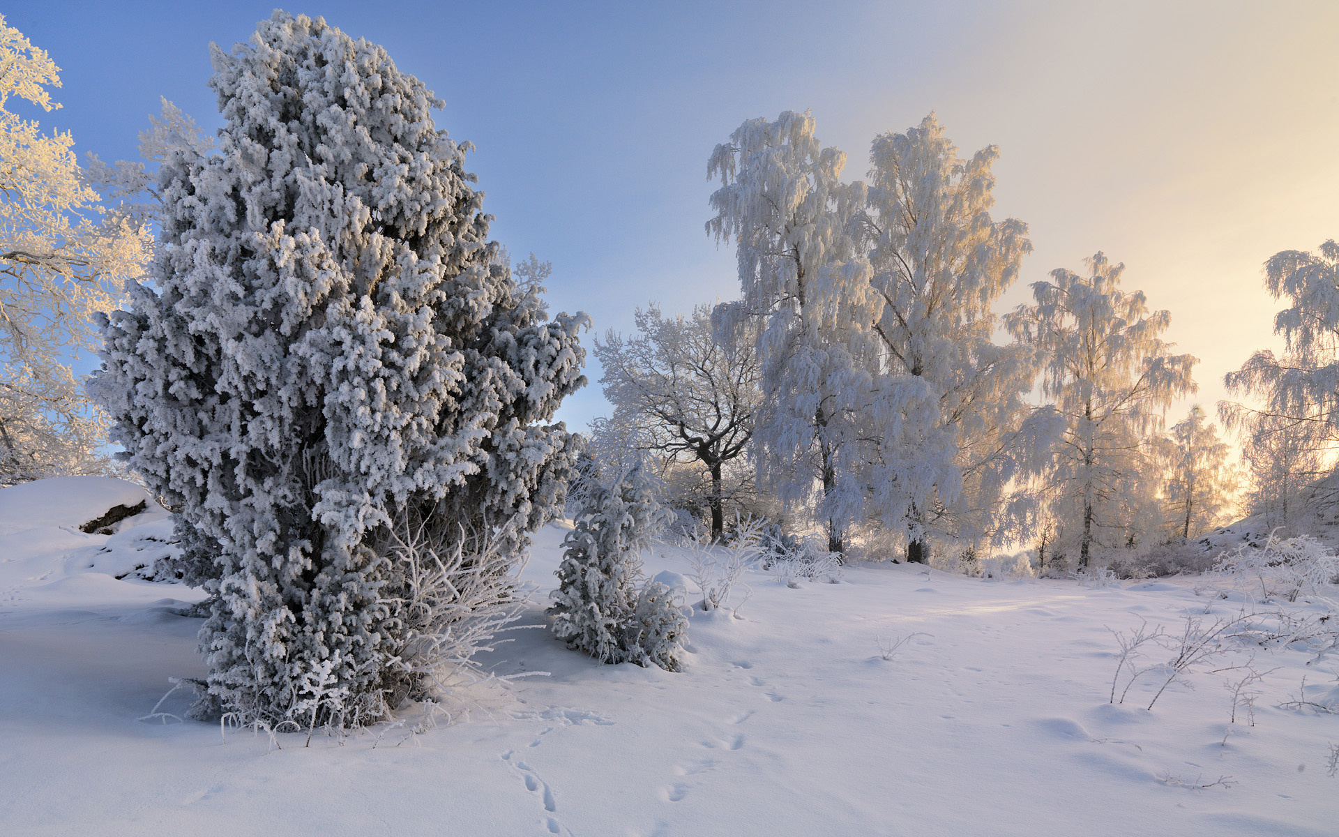 Téléchargez gratuitement l'image Hiver, Terre/nature sur le bureau de votre PC