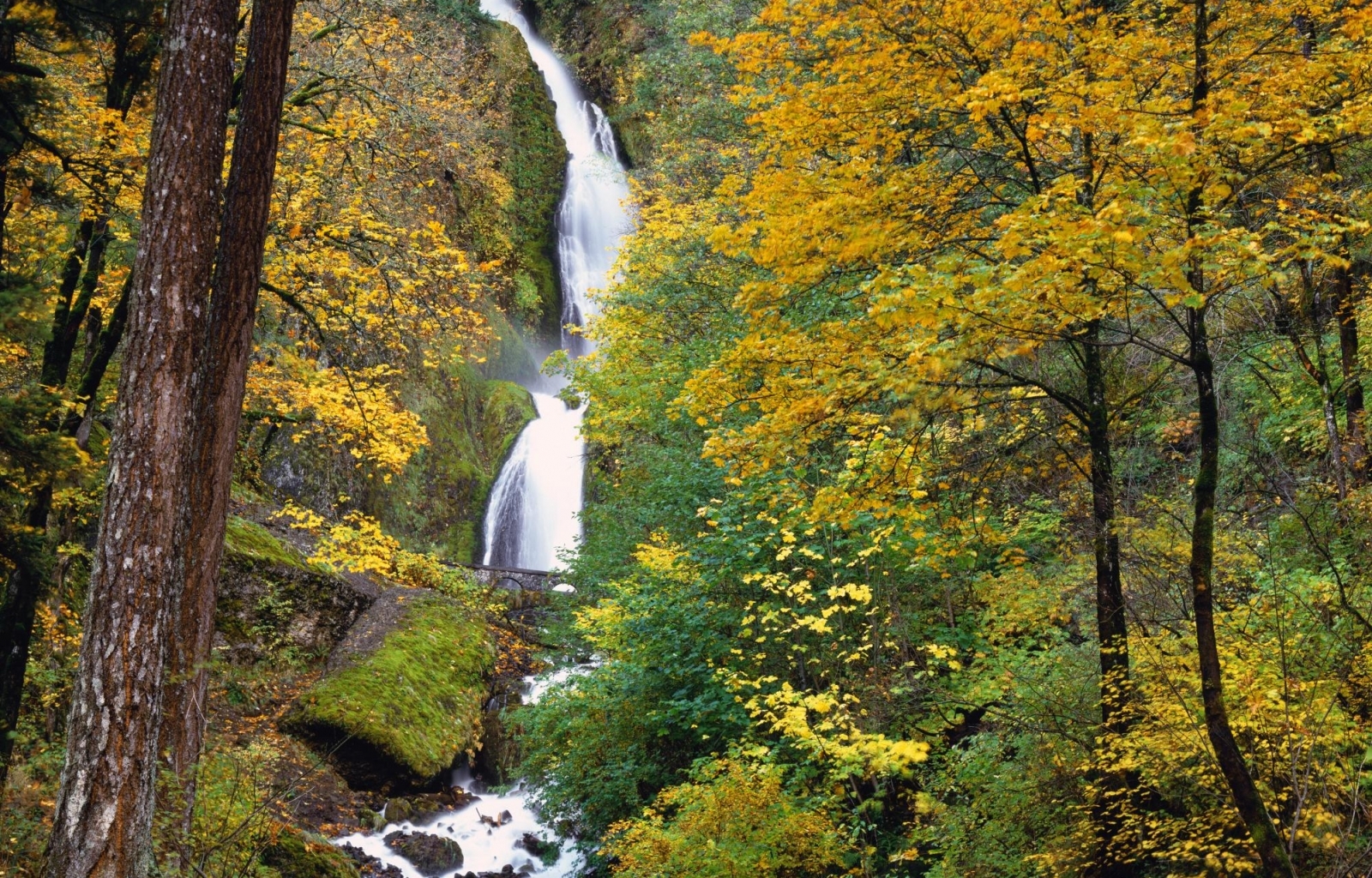 Скачать картинку Деревья, Пейзаж, Осень, Водопады в телефон бесплатно.