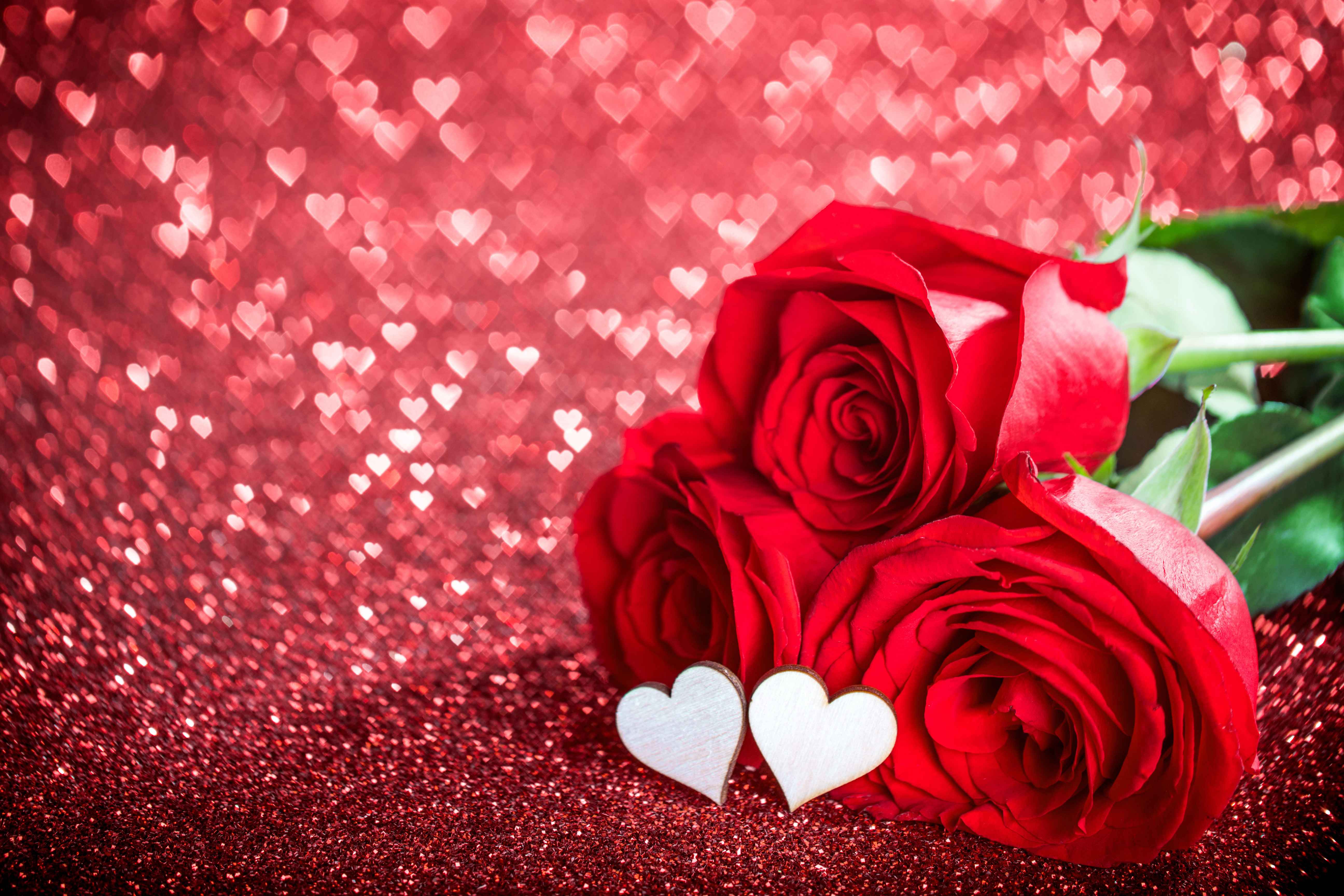 1530100 baixar papel de parede feriados, dia dos namorados, bokeh, flor, em forma de coração, amor, flor vermelha, rosa vermelha, romântico, rosa - protetores de tela e imagens gratuitamente