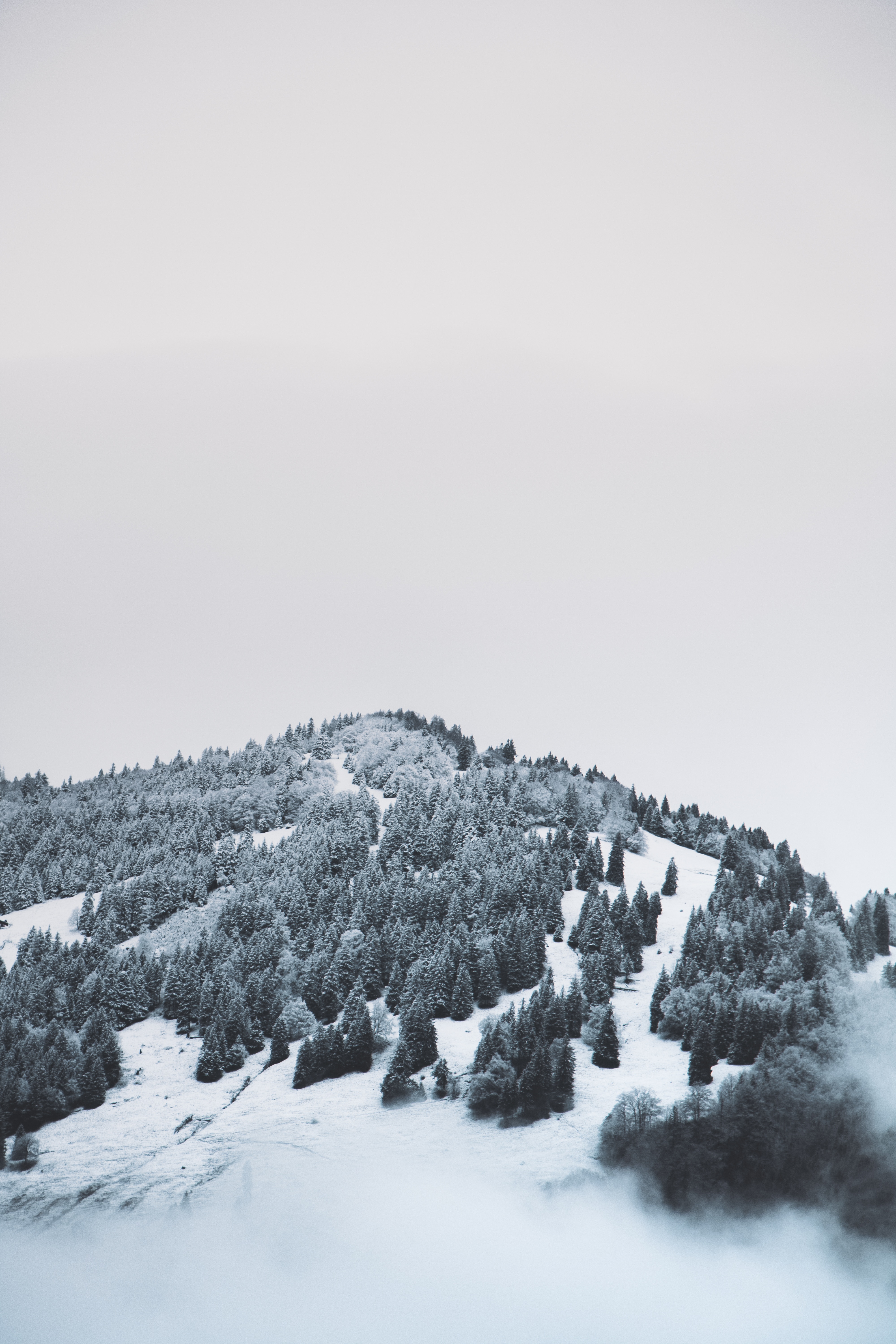 Download mobile wallpaper Elevation, Mountain, Snow, Fog, Trees, Nature for free.