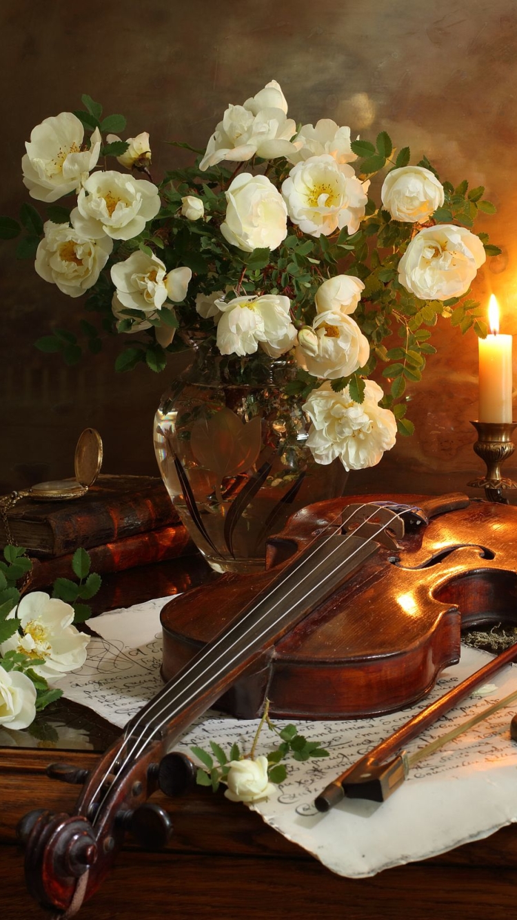 Download mobile wallpaper Still Life, Flower, Book, Candle, Photography, Violin, White Flower for free.