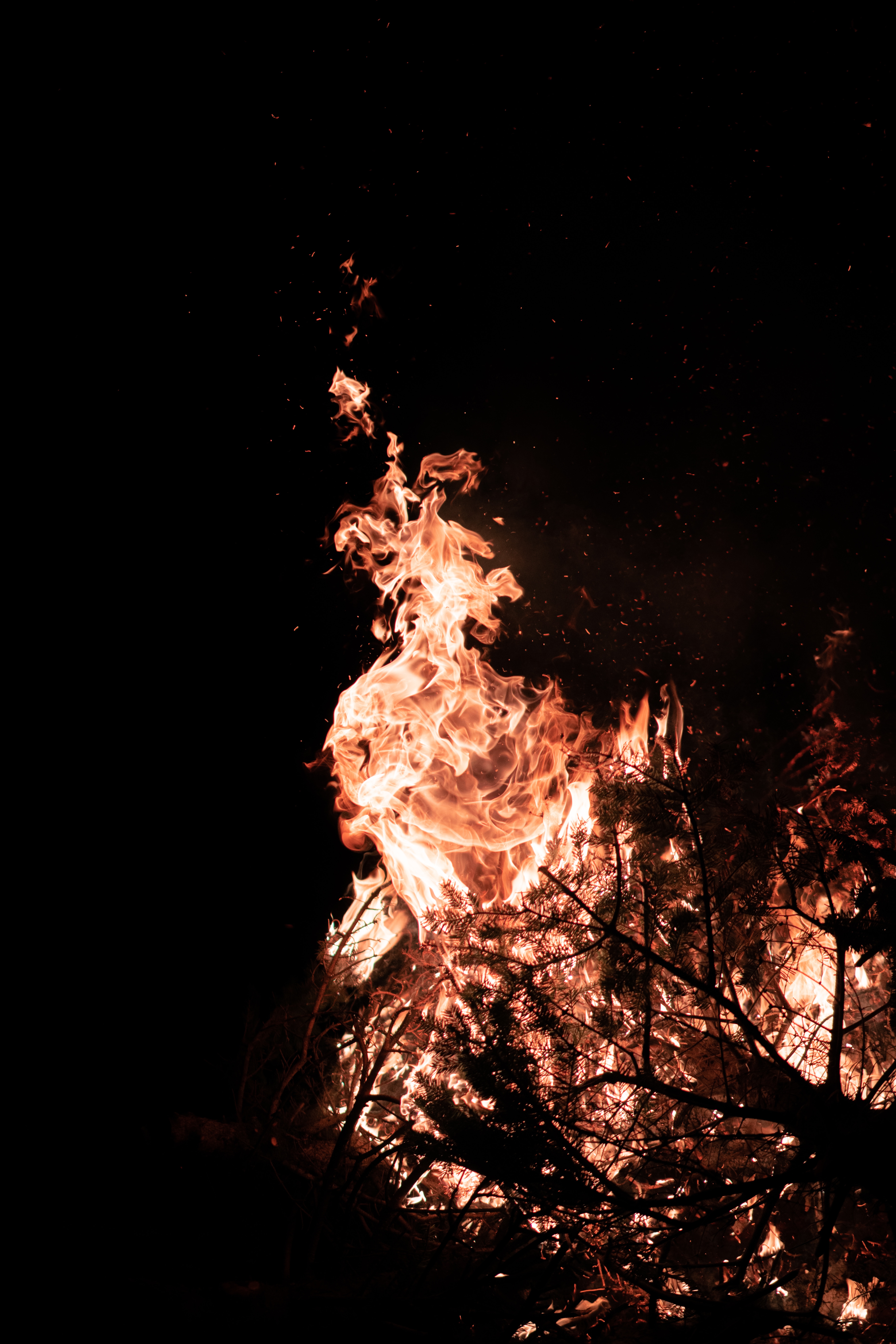 Download mobile wallpaper Branches, Flame, Fire, Bonfire, Dark for free.