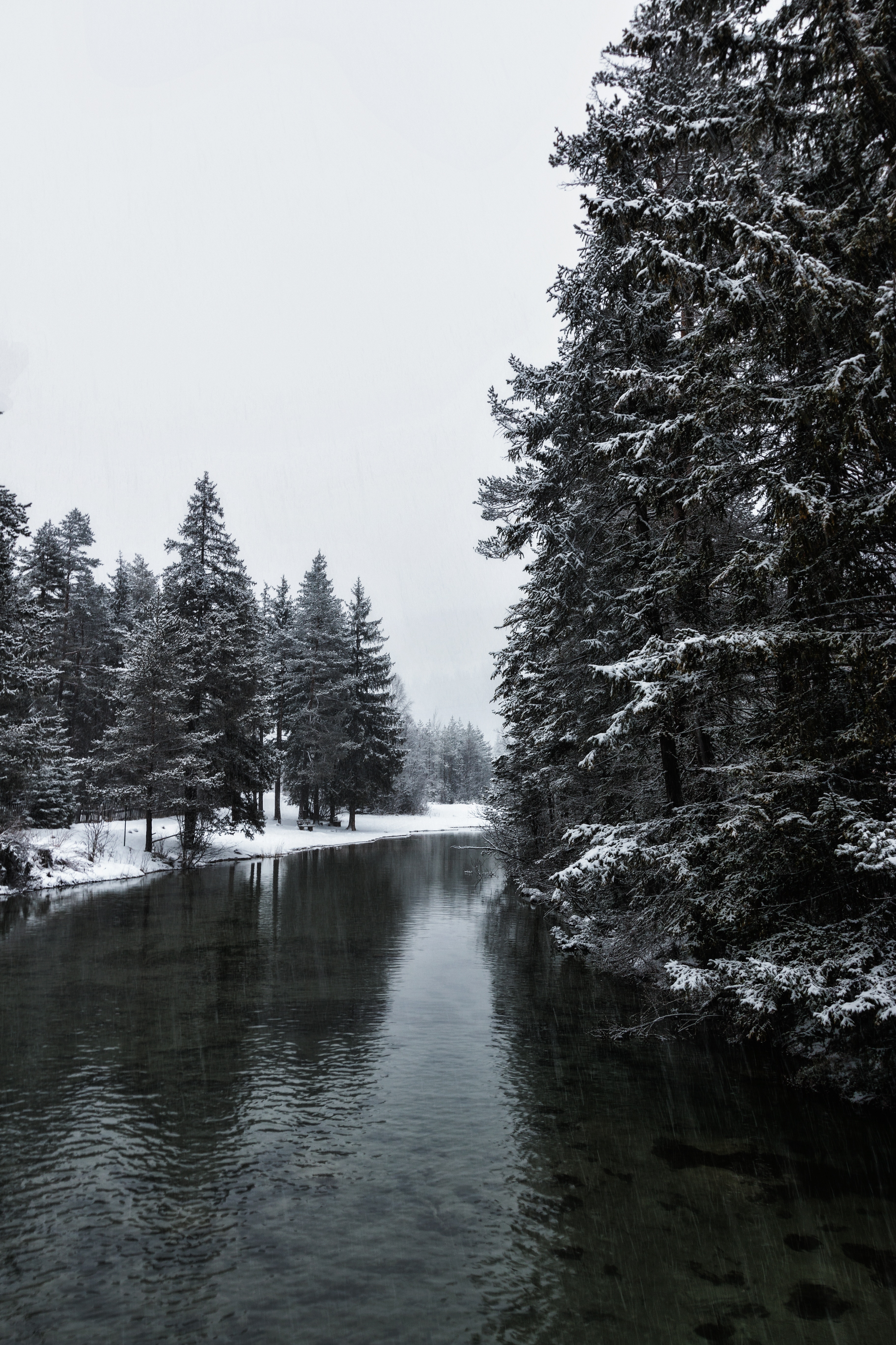 Download mobile wallpaper Trees, Nature, Snow, Rivers, Winter for free.