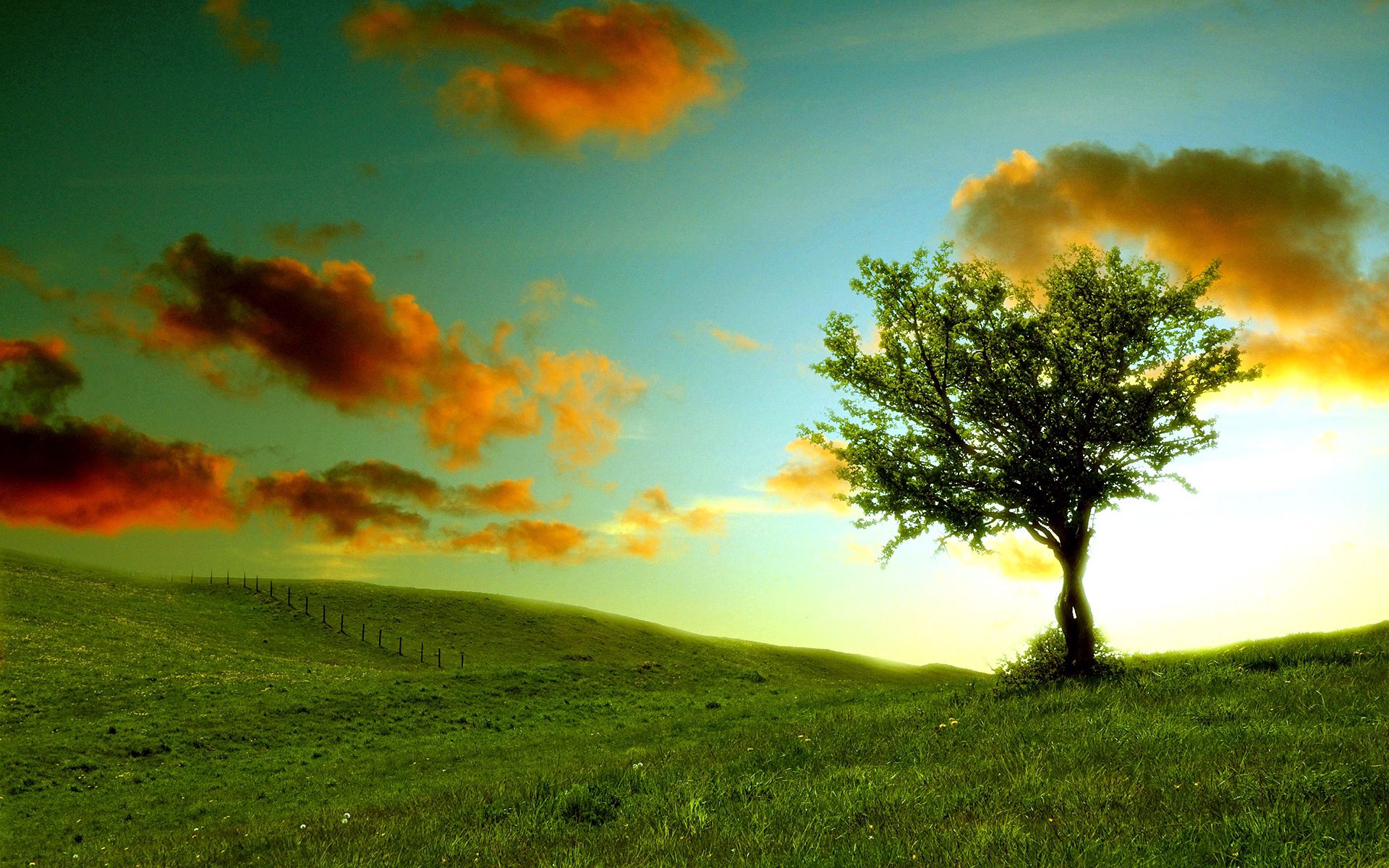 Free download wallpaper Wood, Tree, Colors, Shadows, Nature, Clouds, Color, Meadow, Lonely on your PC desktop