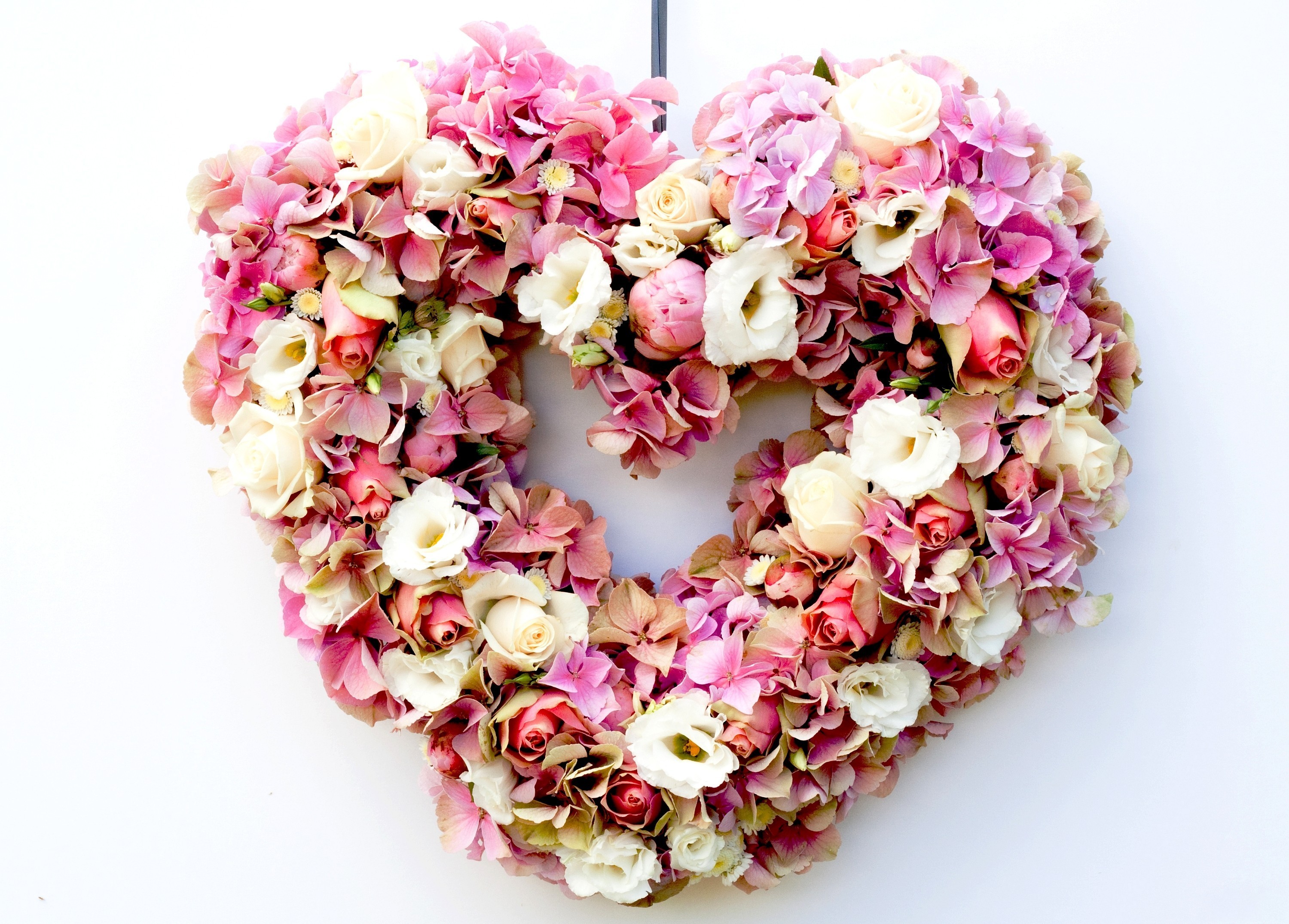 Laden Sie das Blume, Herz, Weiße Blume, Menschengemacht, Pinke Blume, Herzförmig-Bild kostenlos auf Ihren PC-Desktop herunter