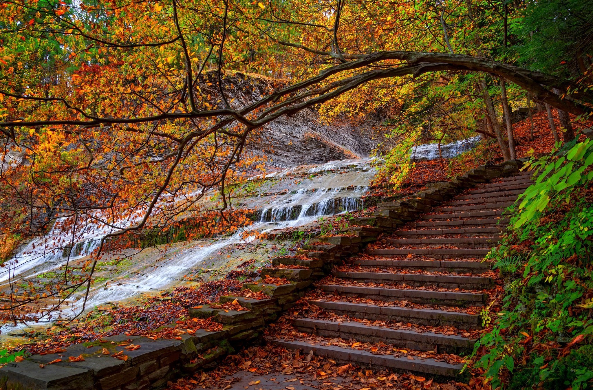 Free download wallpaper Fall, Branch, Stairs, Stream, Photography on your PC desktop