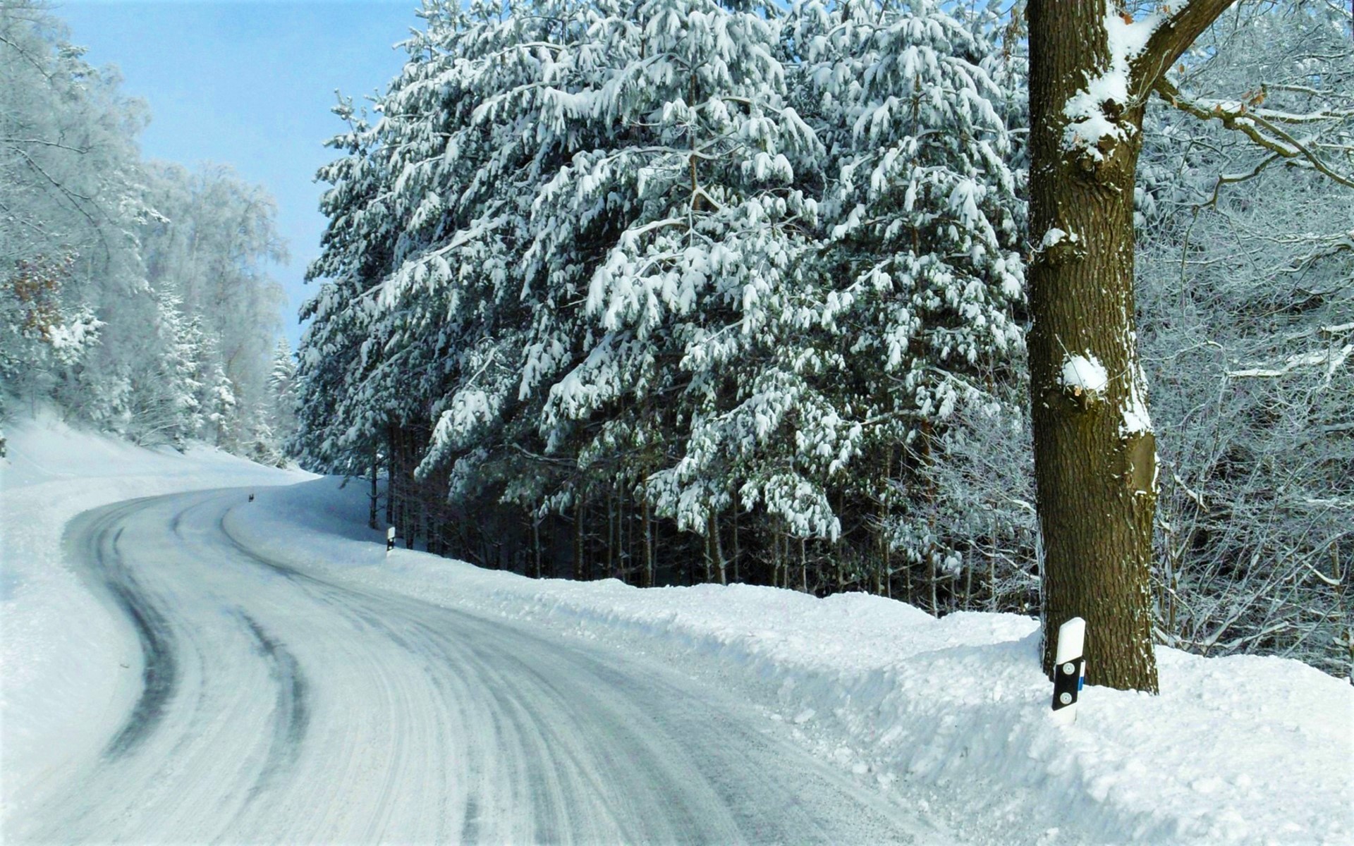 Free download wallpaper Winter, Snow, Road, Tree, Earth on your PC desktop