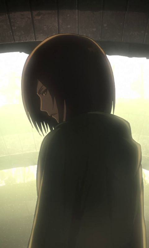 Handy-Wallpaper Animes, Mikasa Ackermann, Shingeki Kein Kyojin, Attack On Titan kostenlos herunterladen.