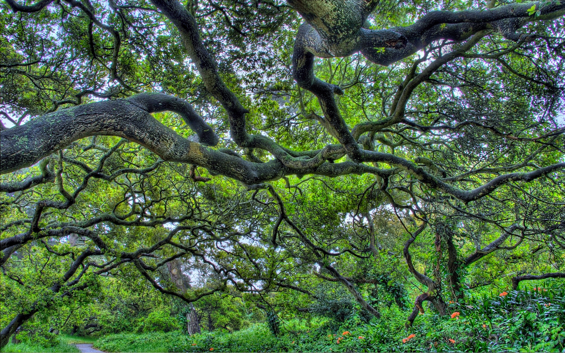 652454 Hintergrundbild herunterladen menschengemacht, golden gate park - Bildschirmschoner und Bilder kostenlos